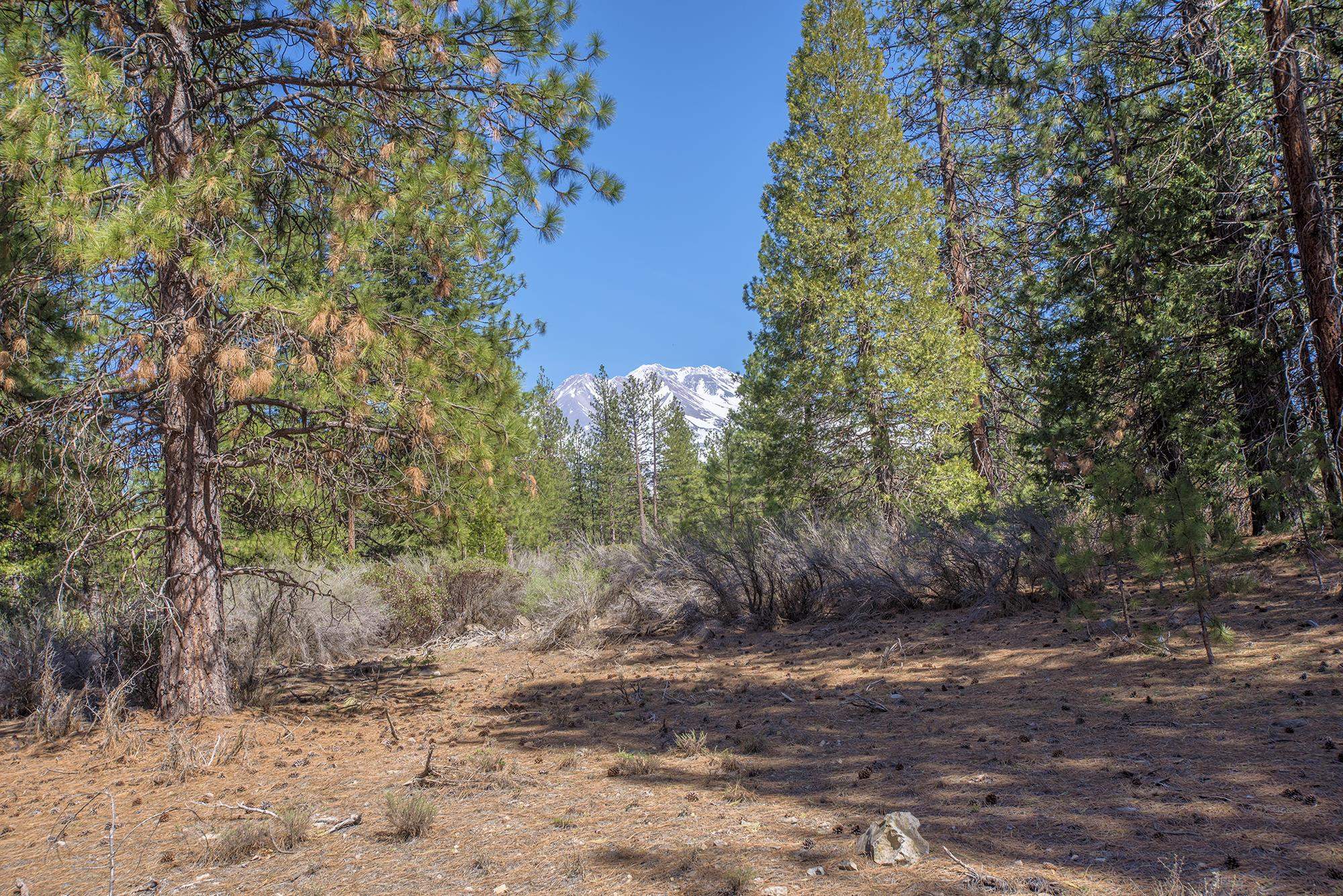 021-170-370 Alves Dr