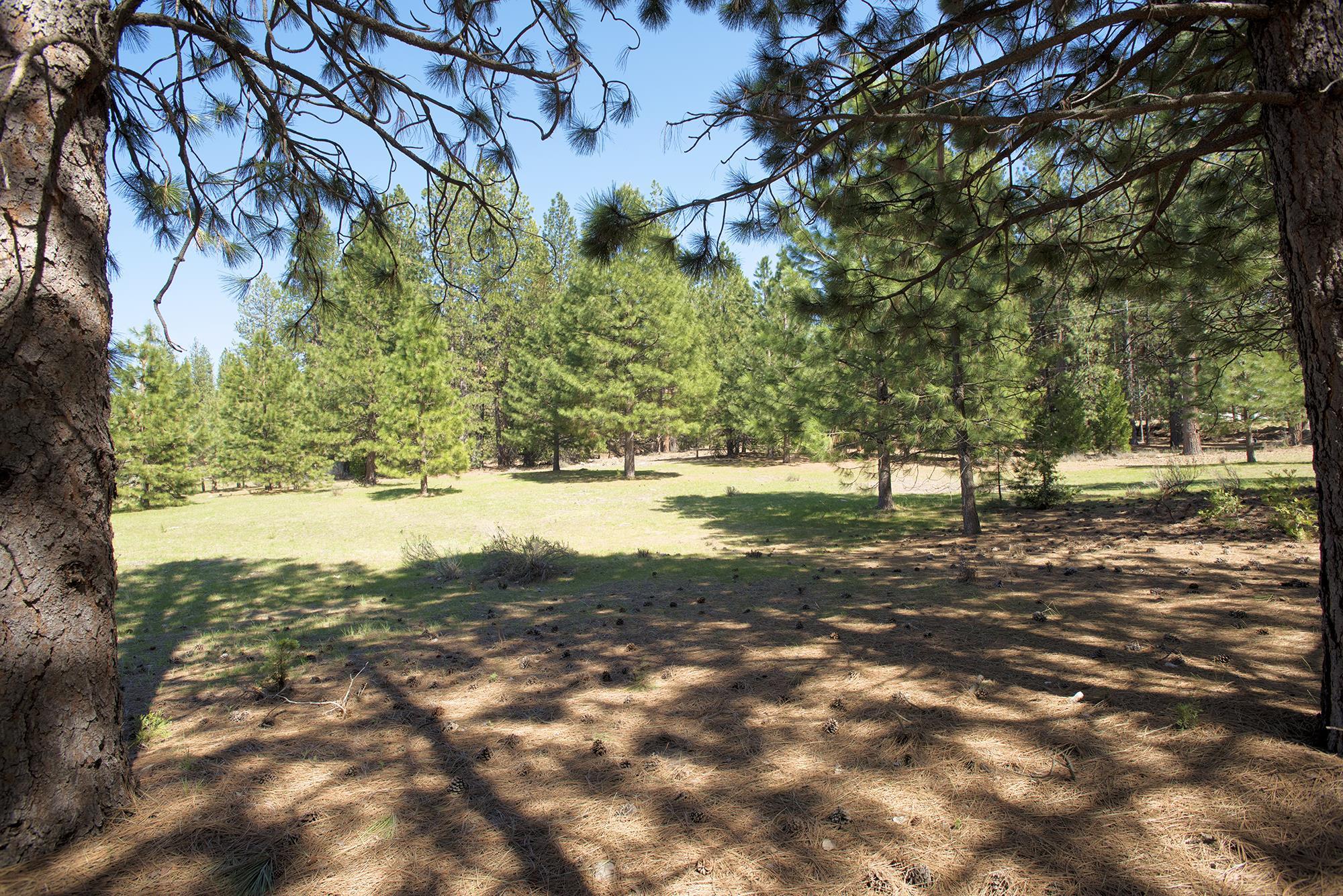 021-170-370 Alves Dr