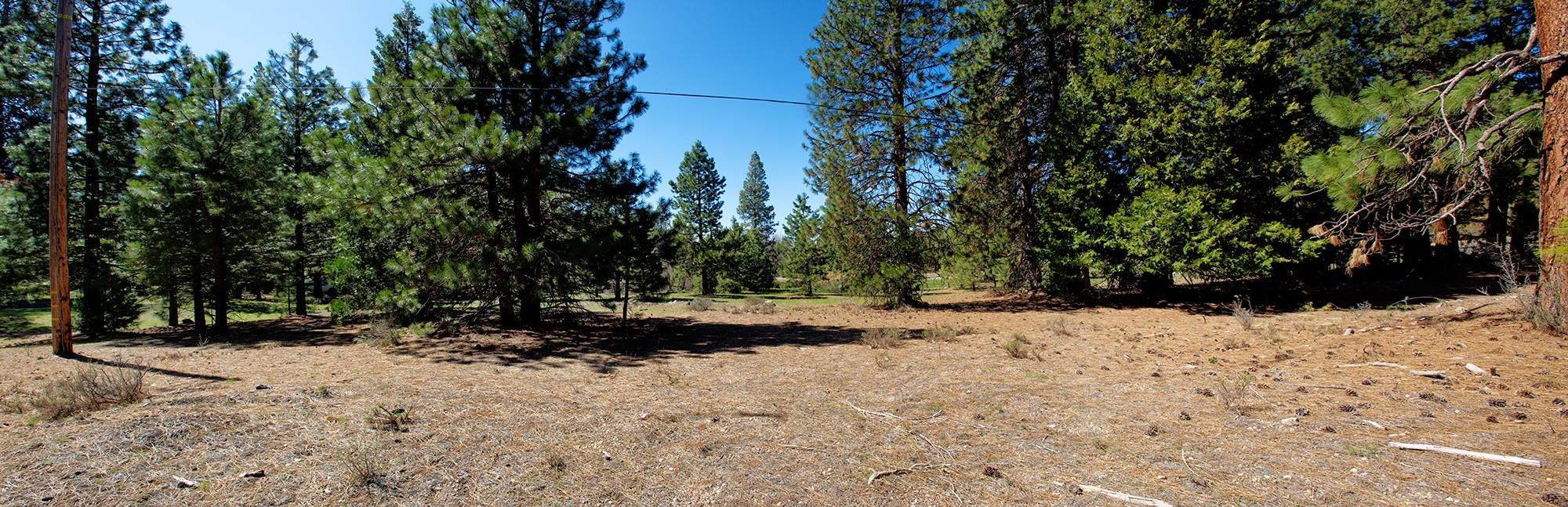 021-170-370 Alves Dr