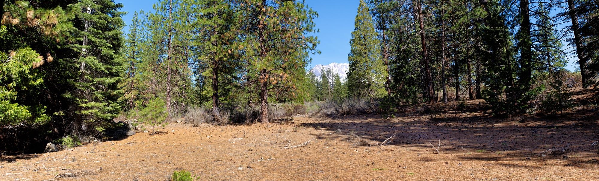 021-170-370 Alves Dr