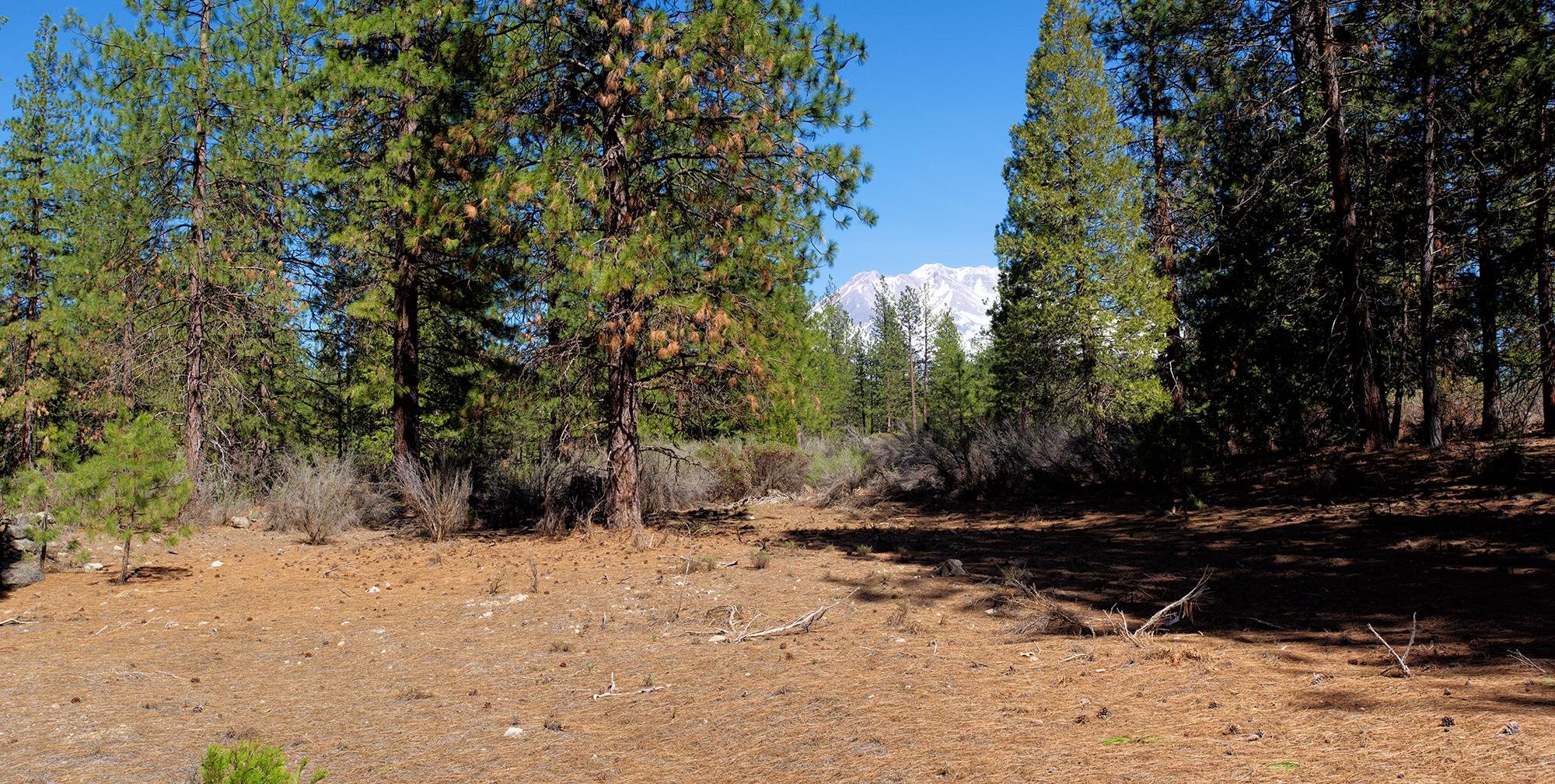 021-170-370 Alves Dr