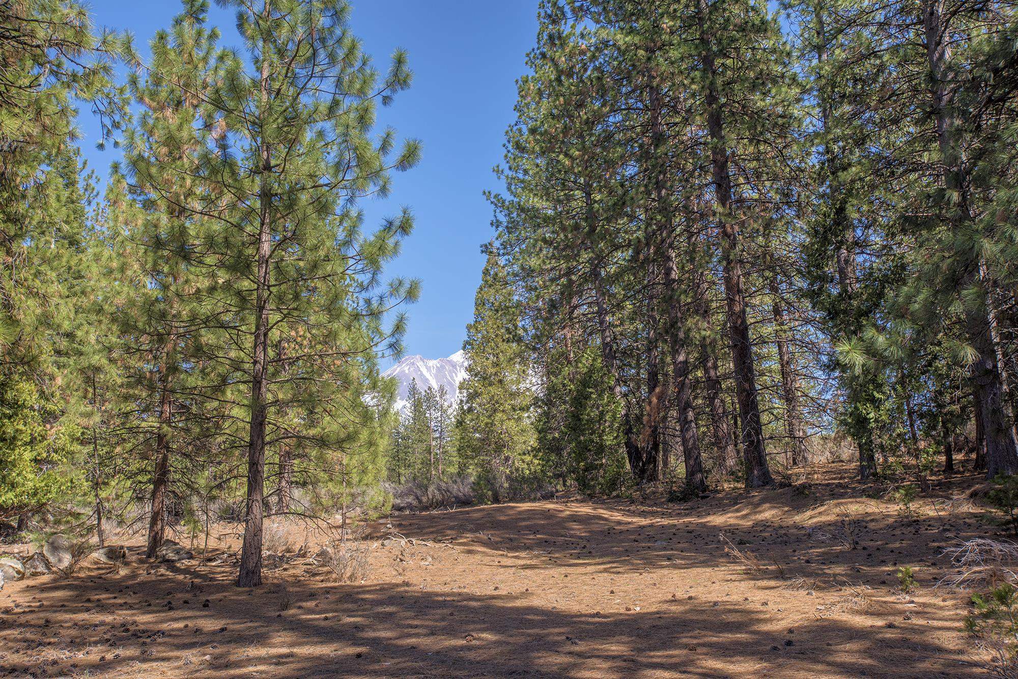 021-170-370 Alves Dr