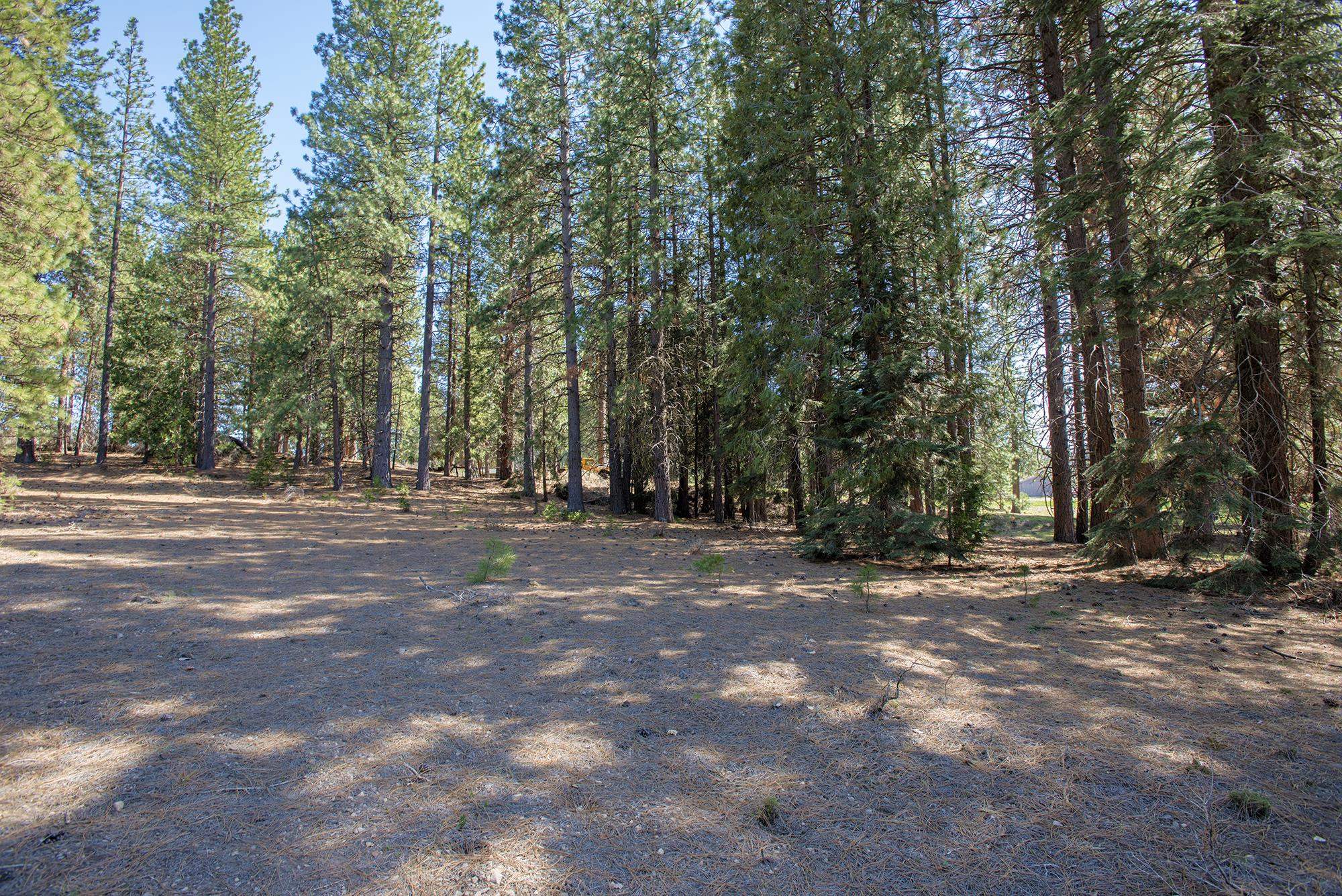 021-170-370 Alves Dr