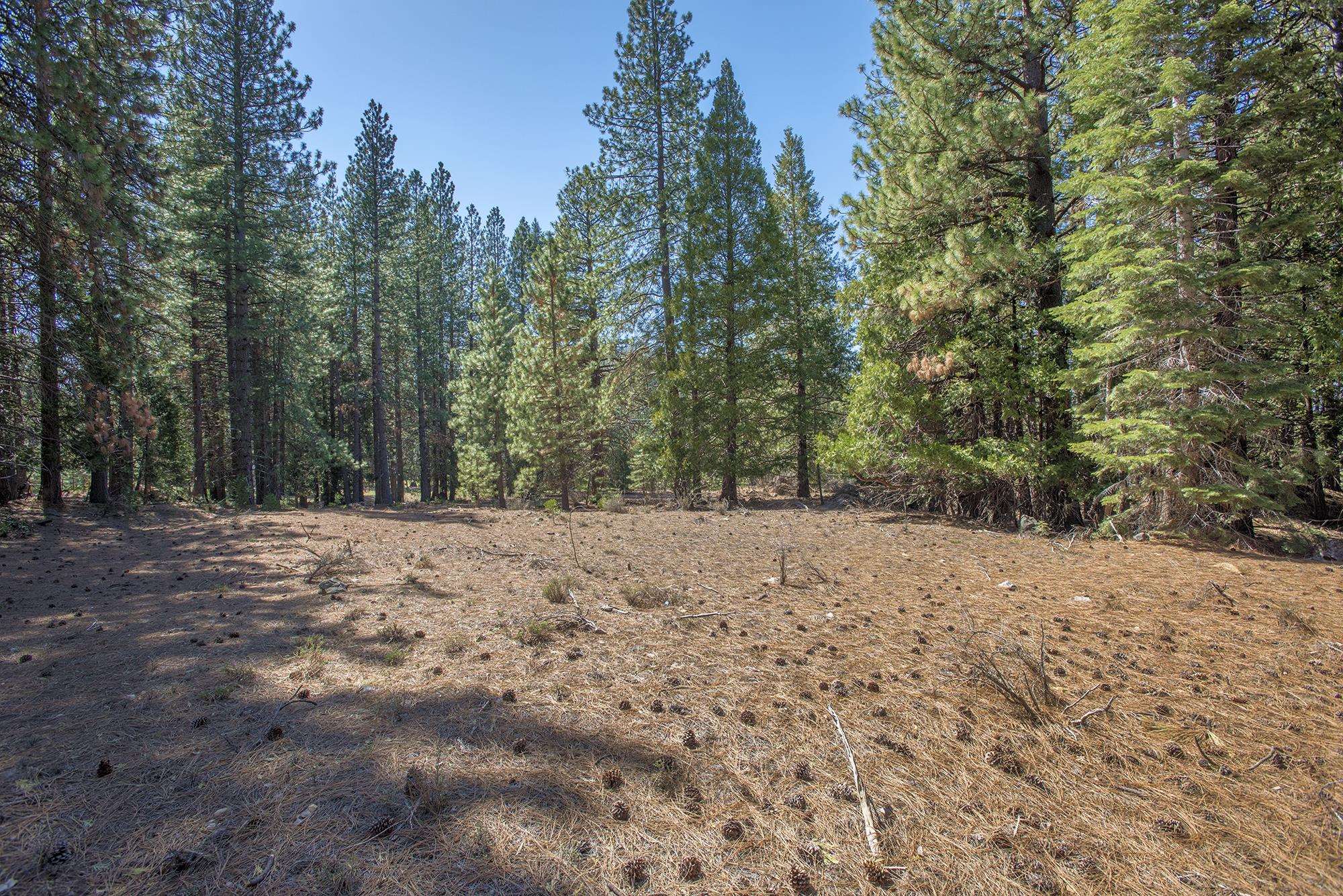 021-170-370 Alves Dr