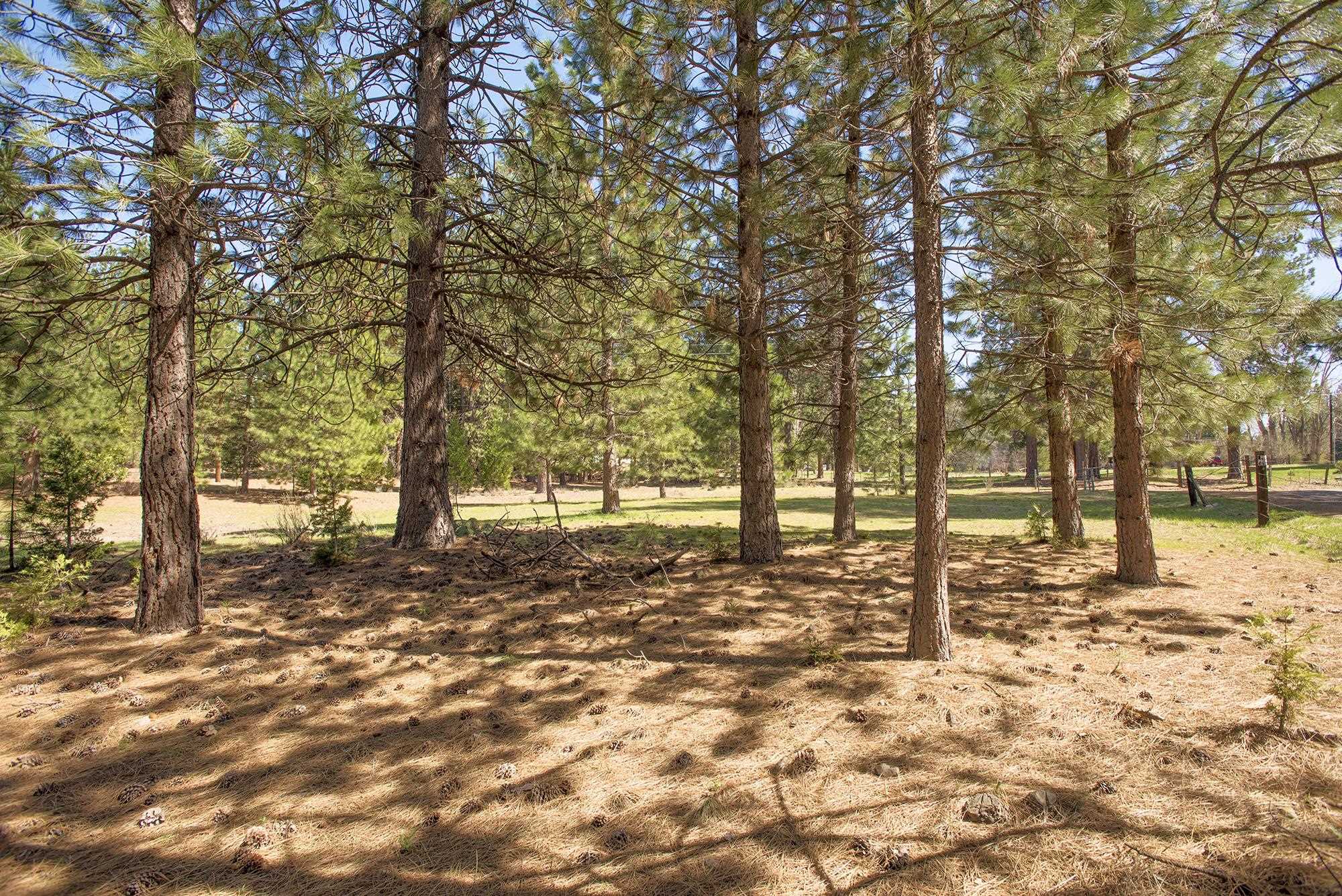 021-170-370 Alves Dr