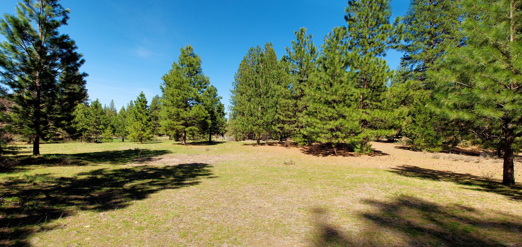 021-170-370 Alves Dr