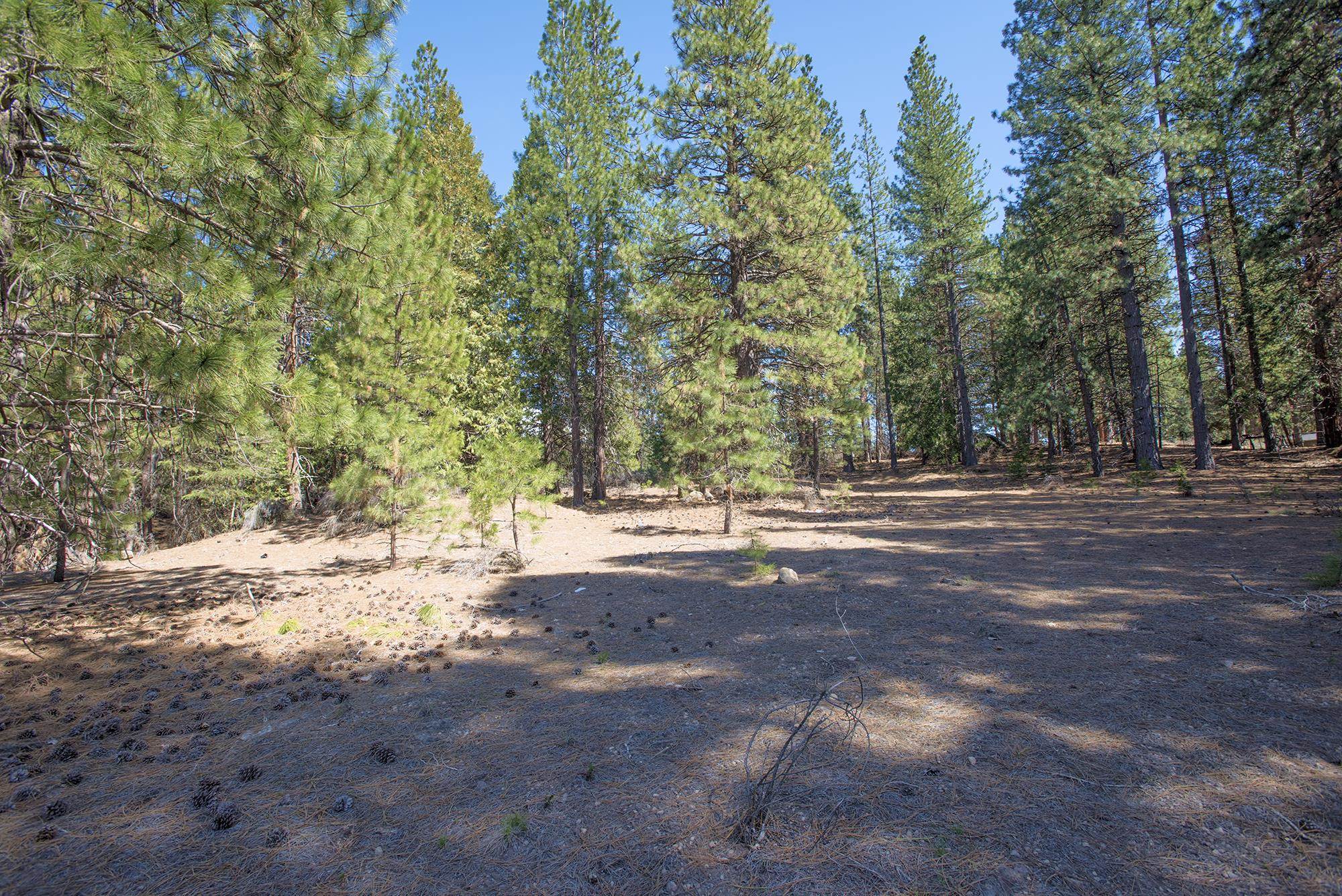 021-170-370 Alves Dr