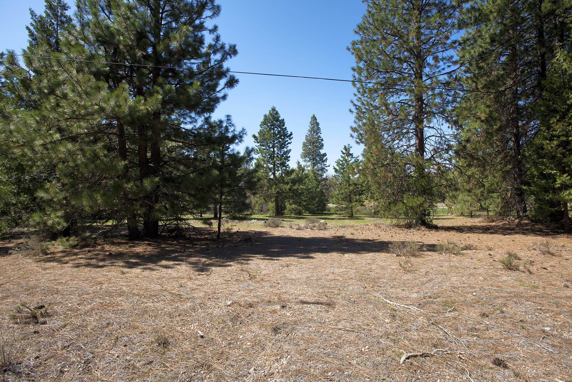 021-170-370 Alves Dr