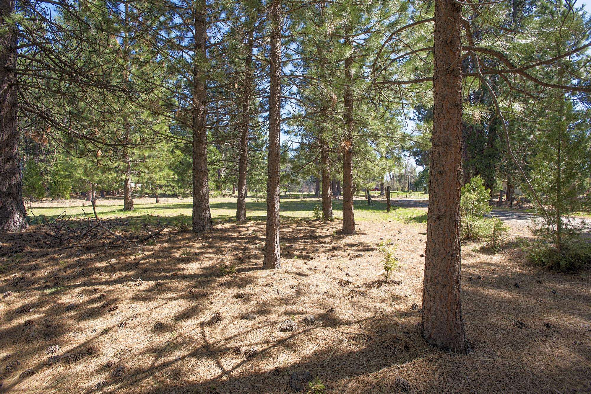 021-170-370 Alves Dr