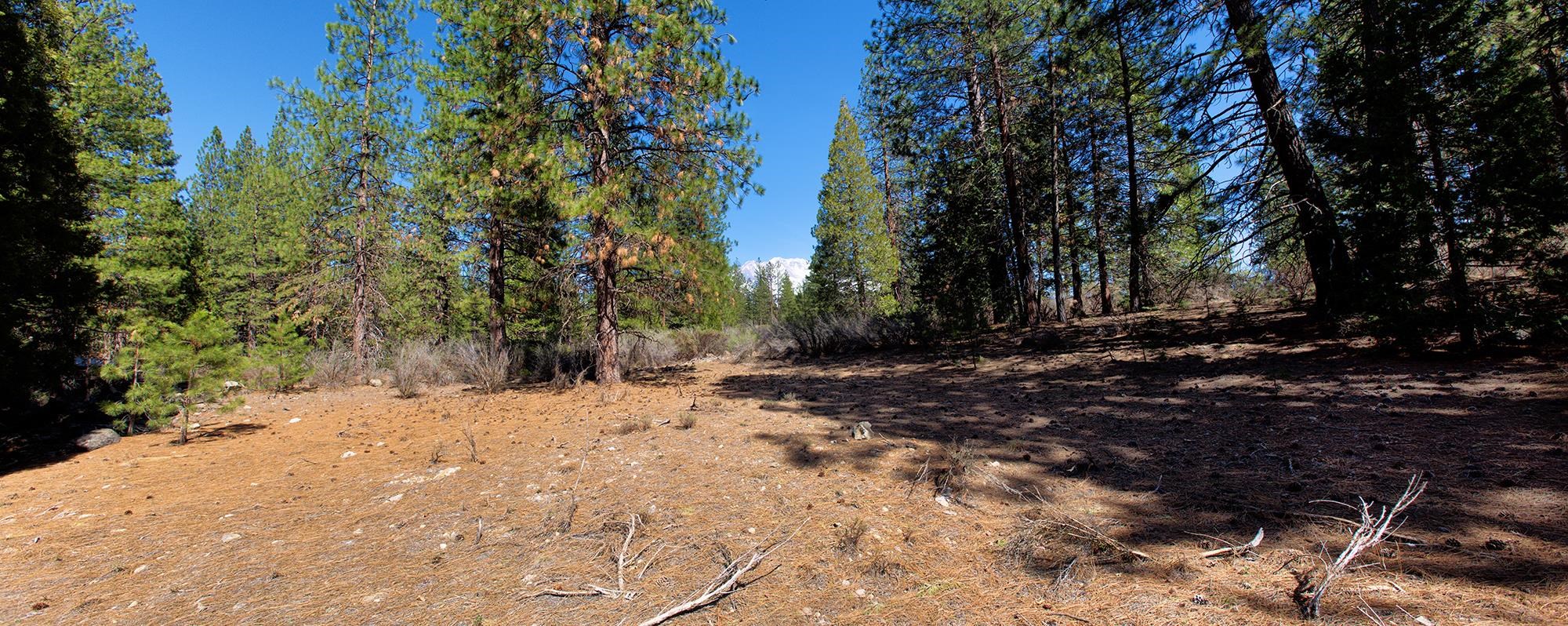 021-170-370 Alves Dr