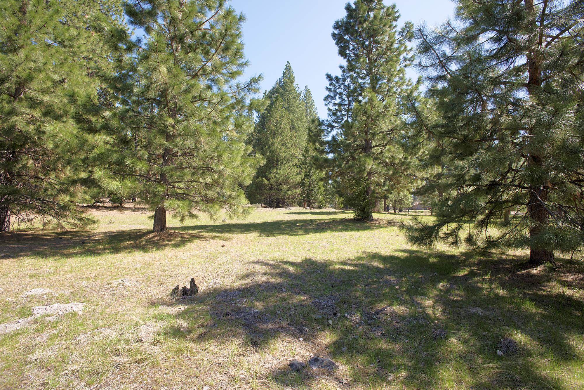 021-170-370 Alves Dr