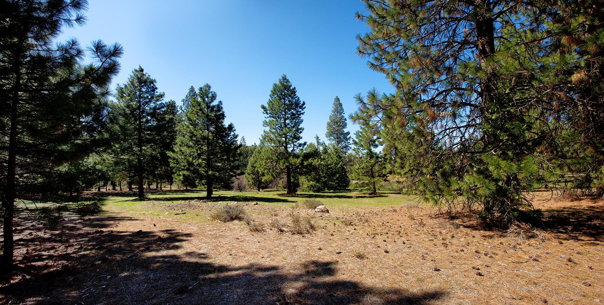 021-170-370 Alves Dr