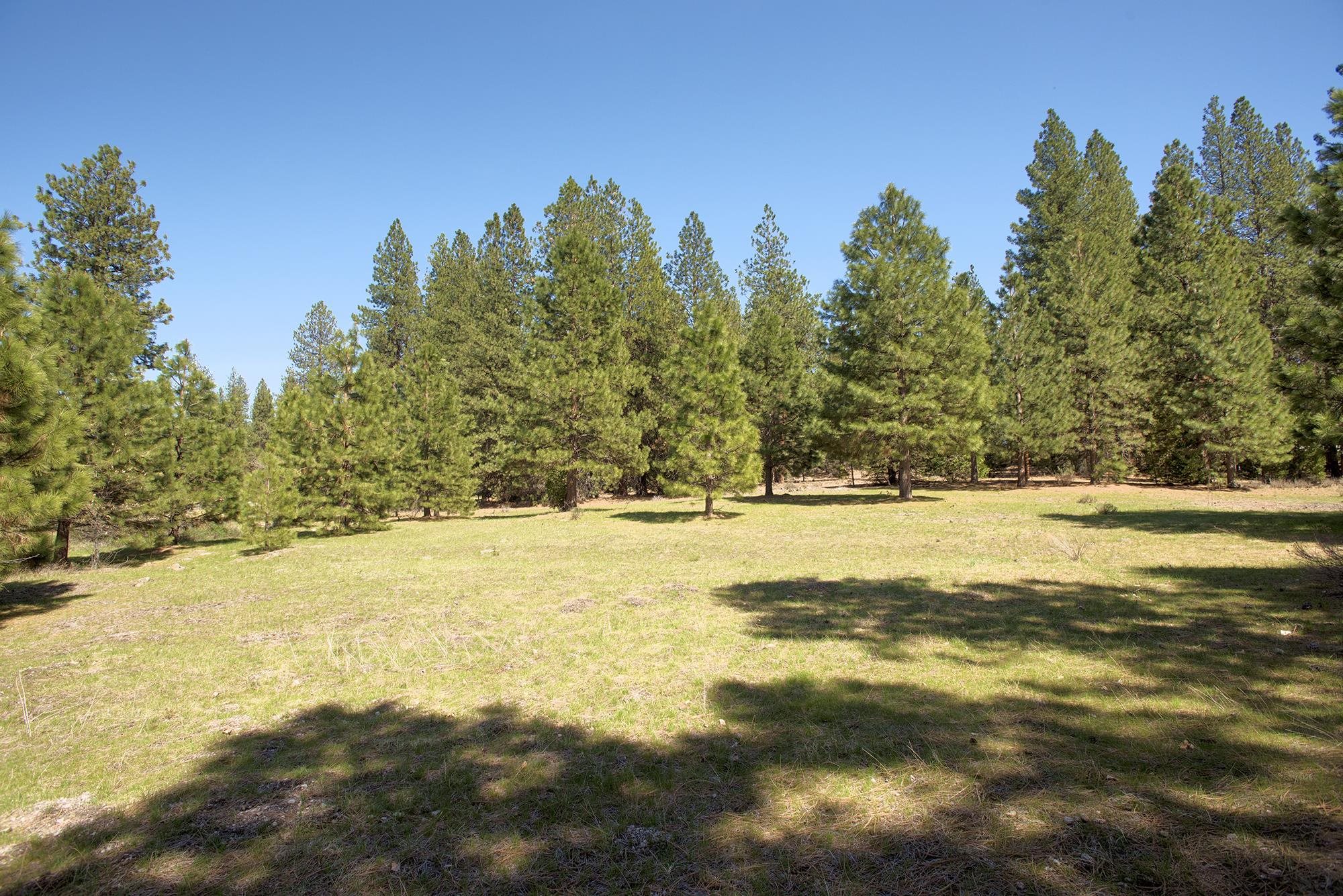 021-170-370 Alves Dr