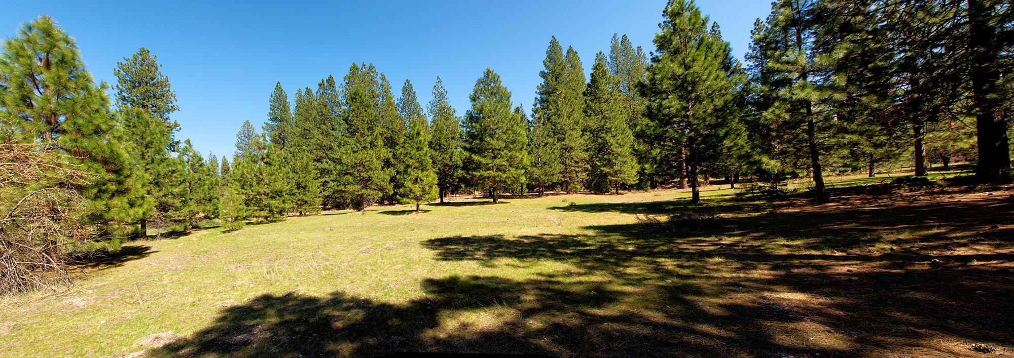 021-170-370 Alves Dr