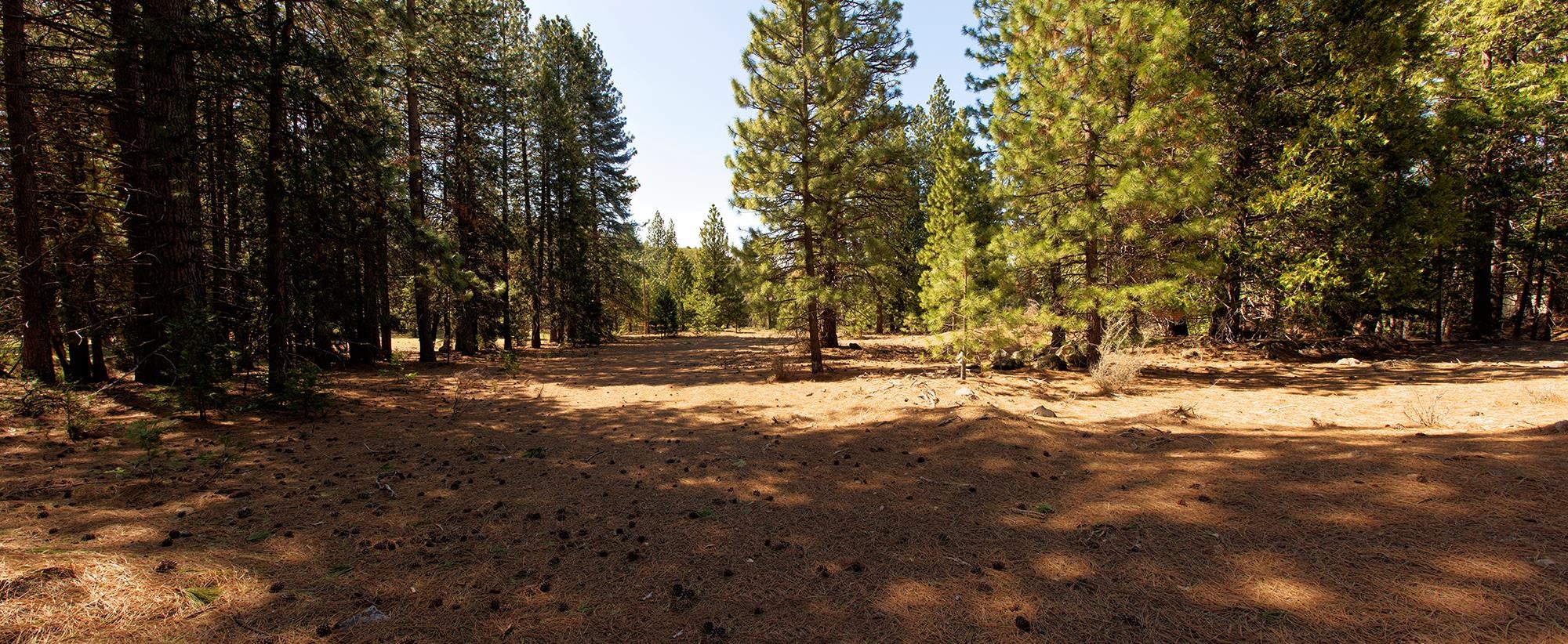 021-170-370 Alves Dr