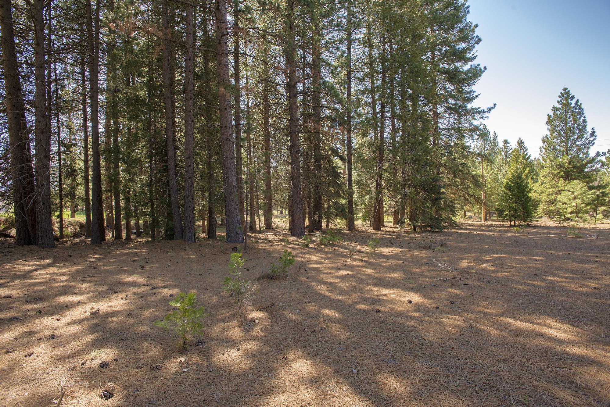 021-170-370 Alves Dr