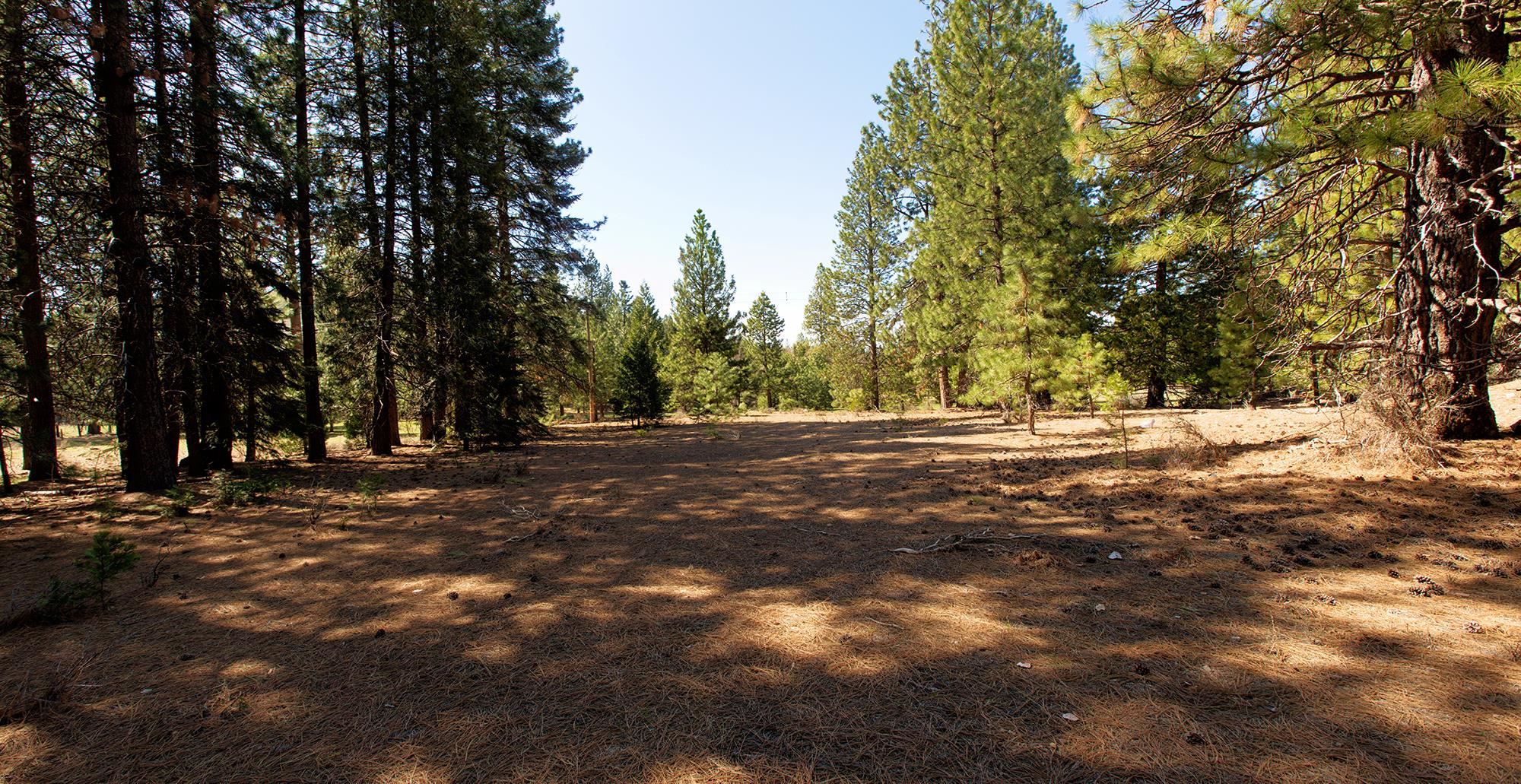 021-170-370 Alves Dr