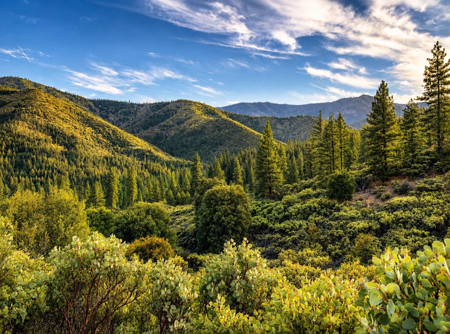 10.6 Acres off Humbug Creek Rd