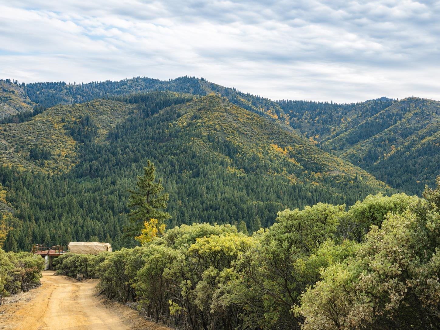 10.6 Acres off Humbug Creek Rd