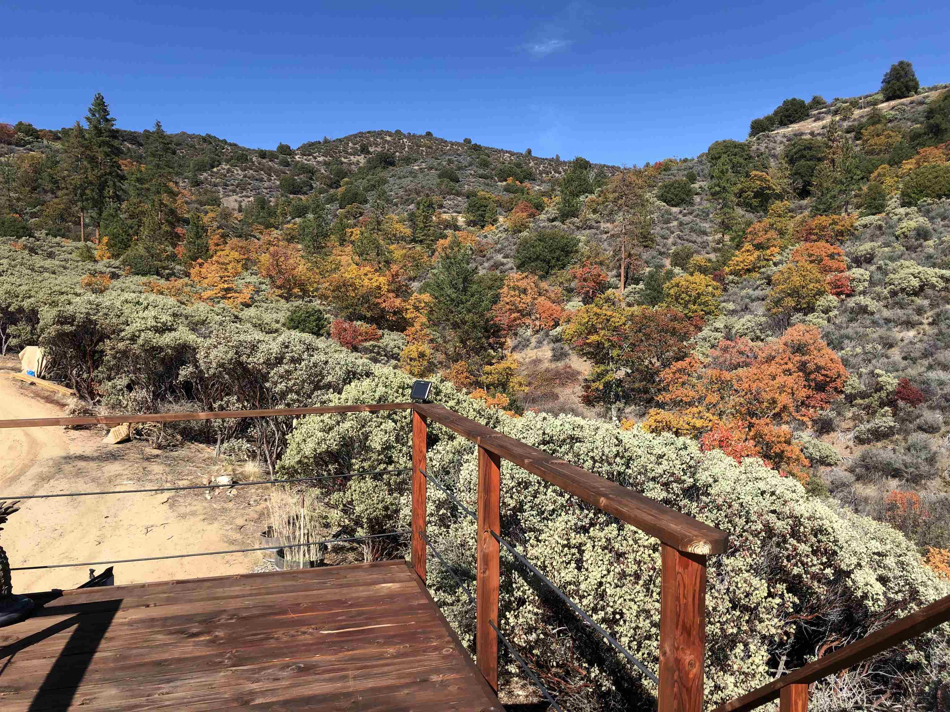 10.6 Acres off Humbug Creek Rd
