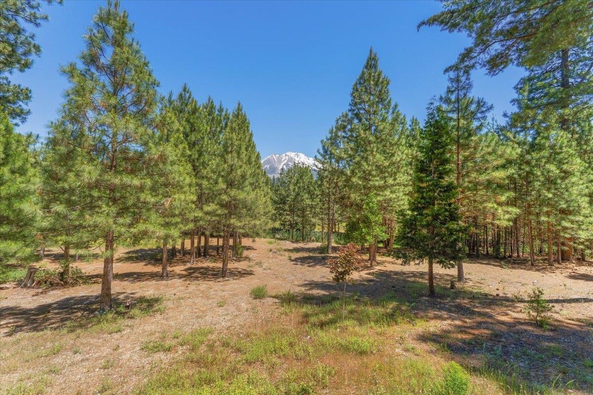 2331 Mountain View Dr