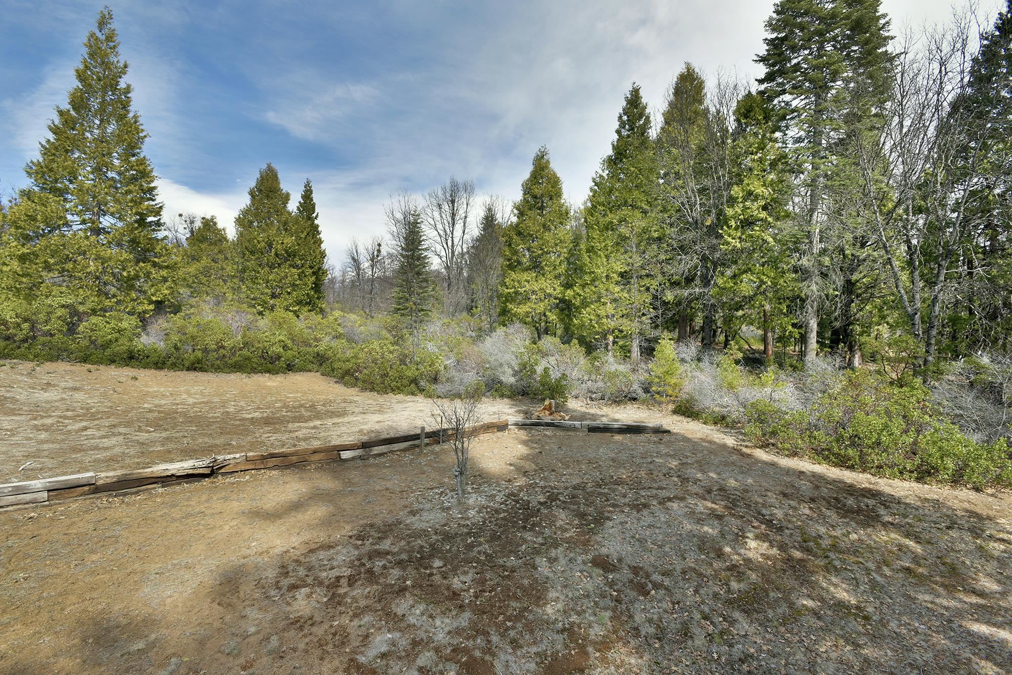 1517 Eddy Dr.
