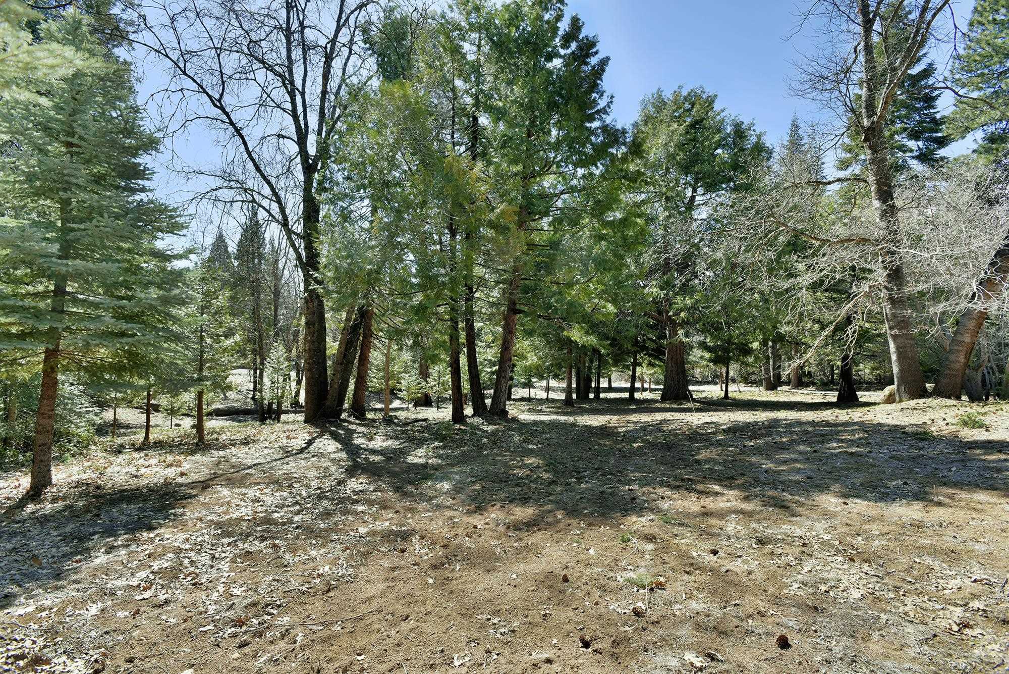 1517 Eddy Dr.
