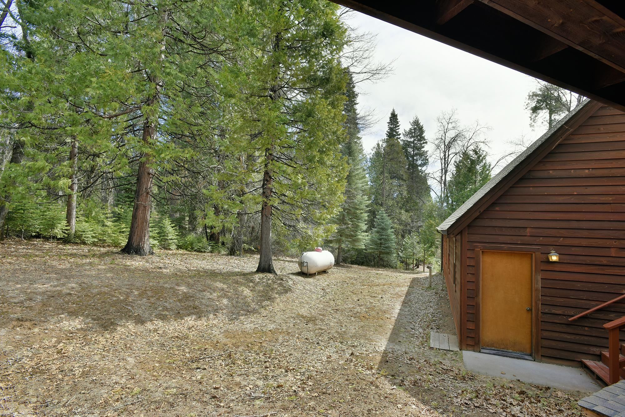 1517 Eddy Dr.