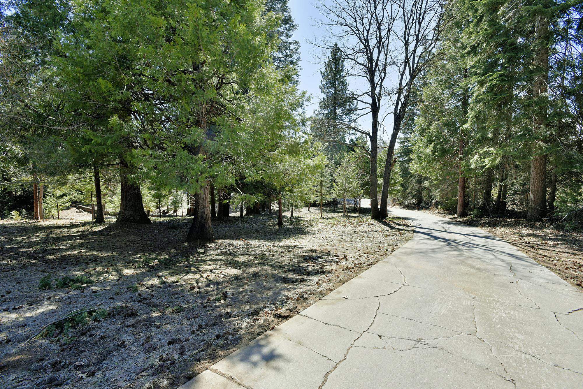 1517 Eddy Dr.