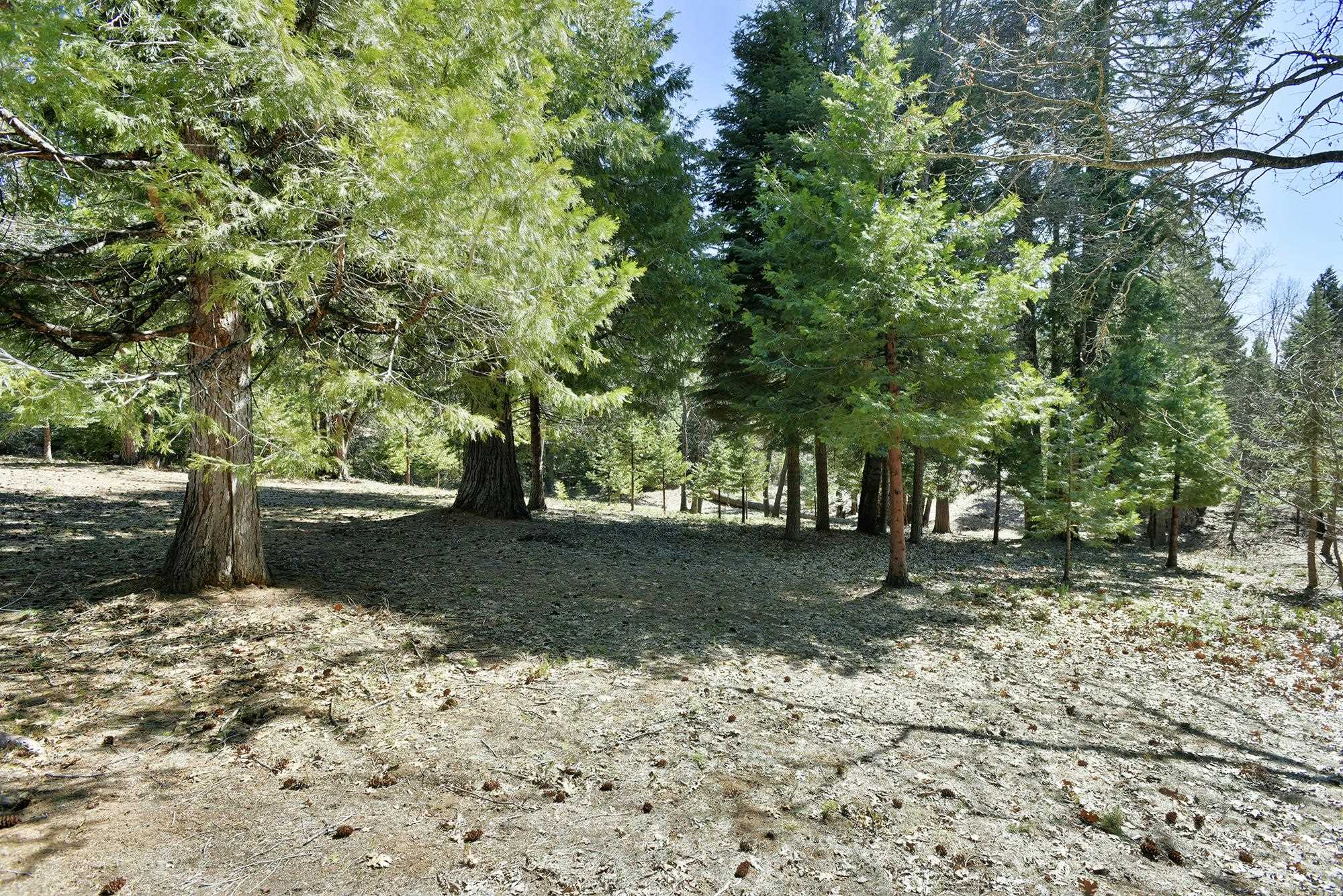 1517 Eddy Dr.