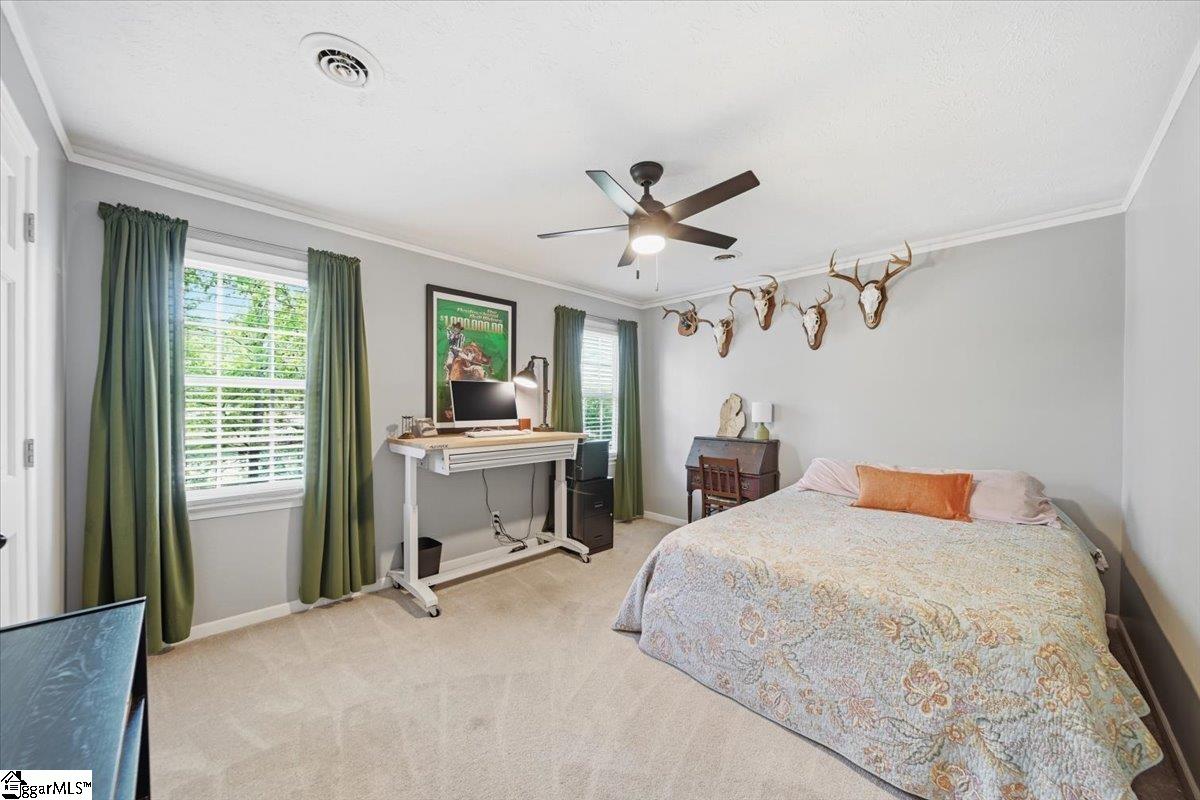 14 Pine View Terrace