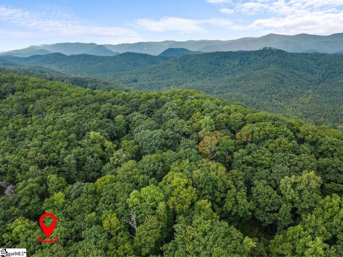 160 Duffs Mountain Road