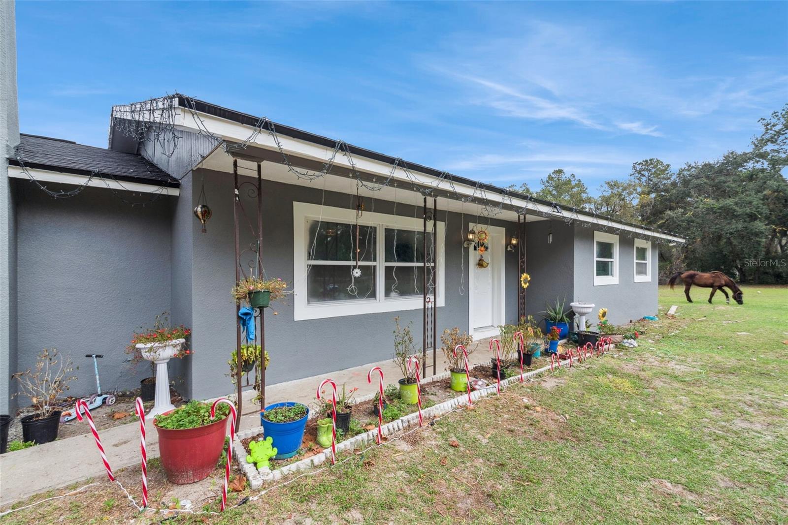 28751 SLEEPY BEAR LN