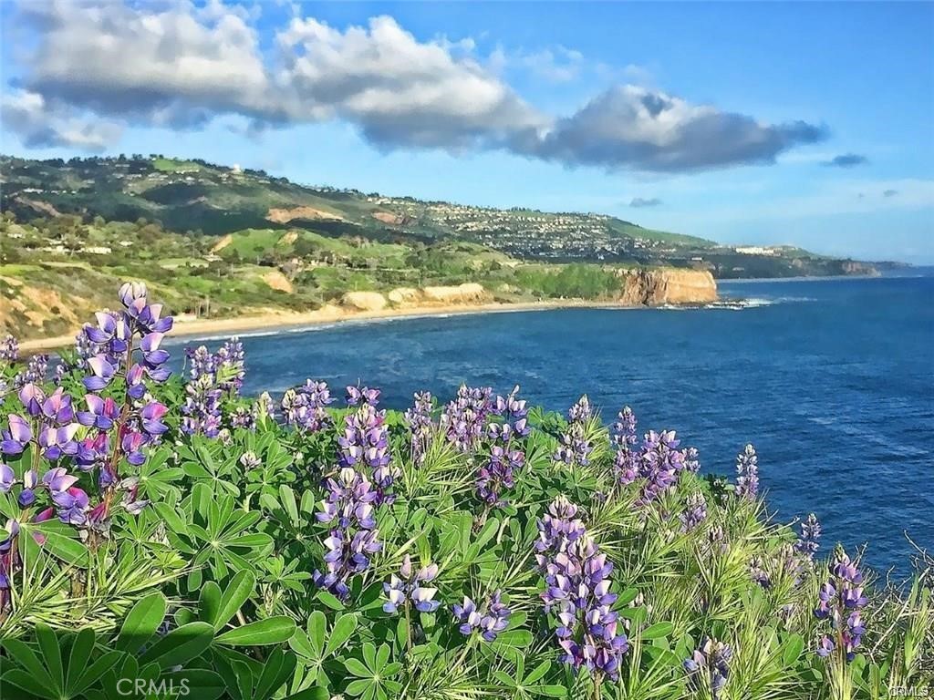 27937 Ridgebluff Court