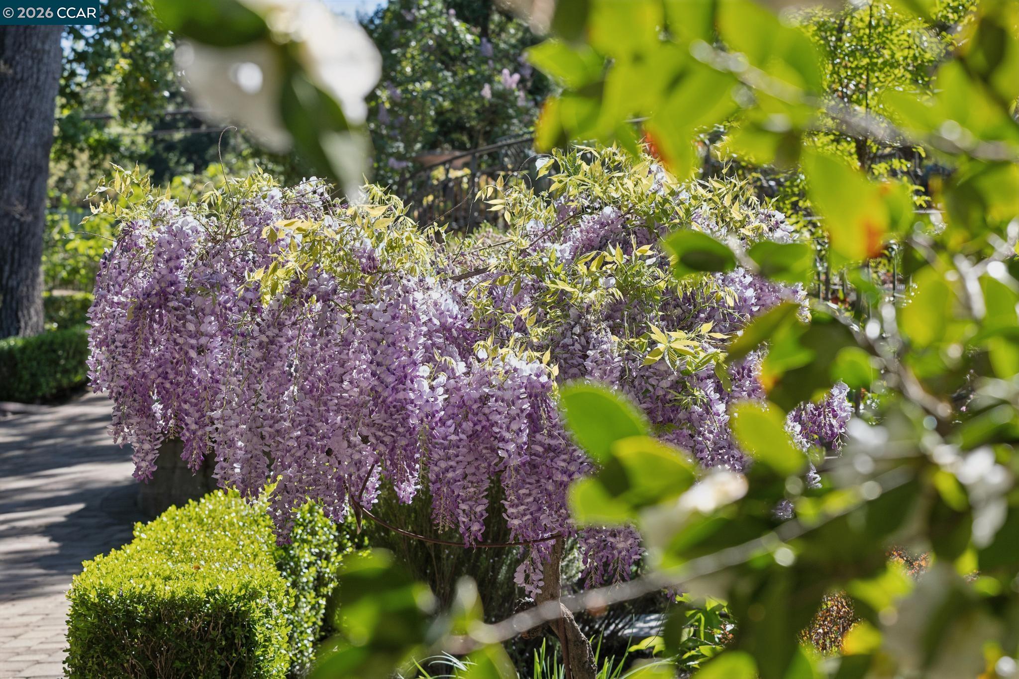 2358 Stone Valley Rd