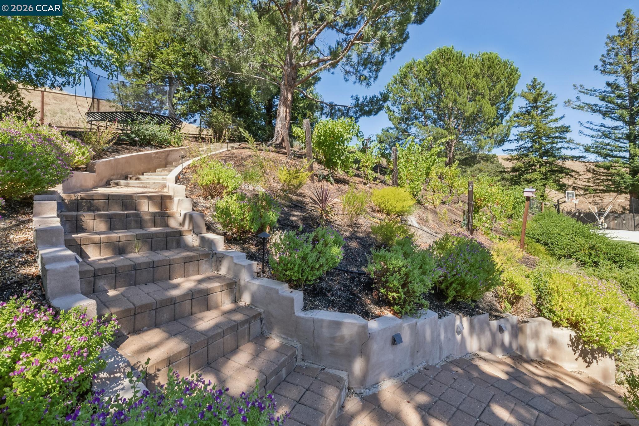 226 Arthur Ct