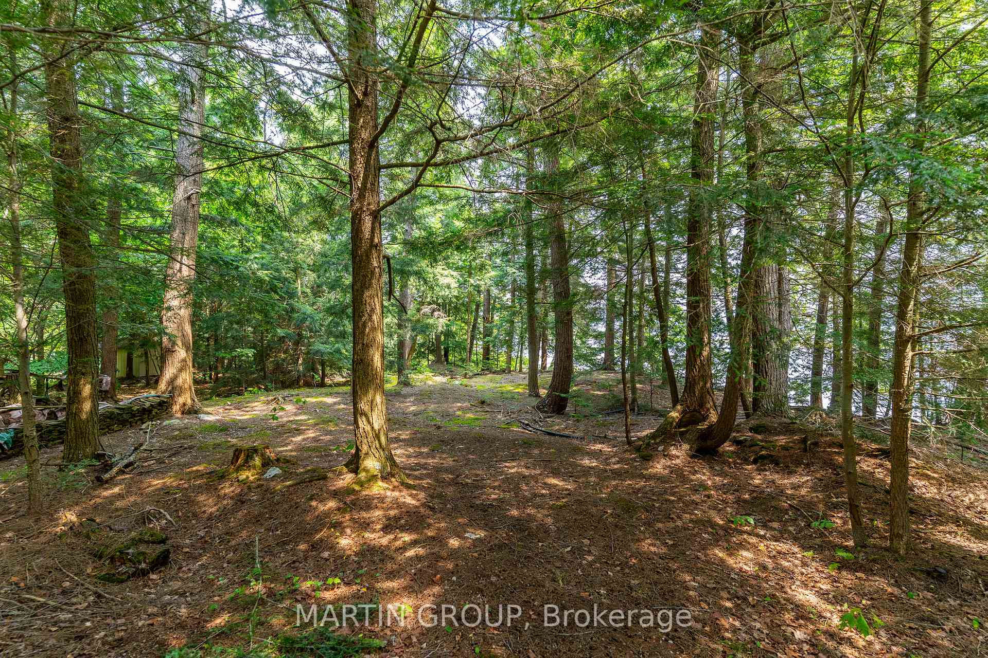 1184 Rattlesnake Road