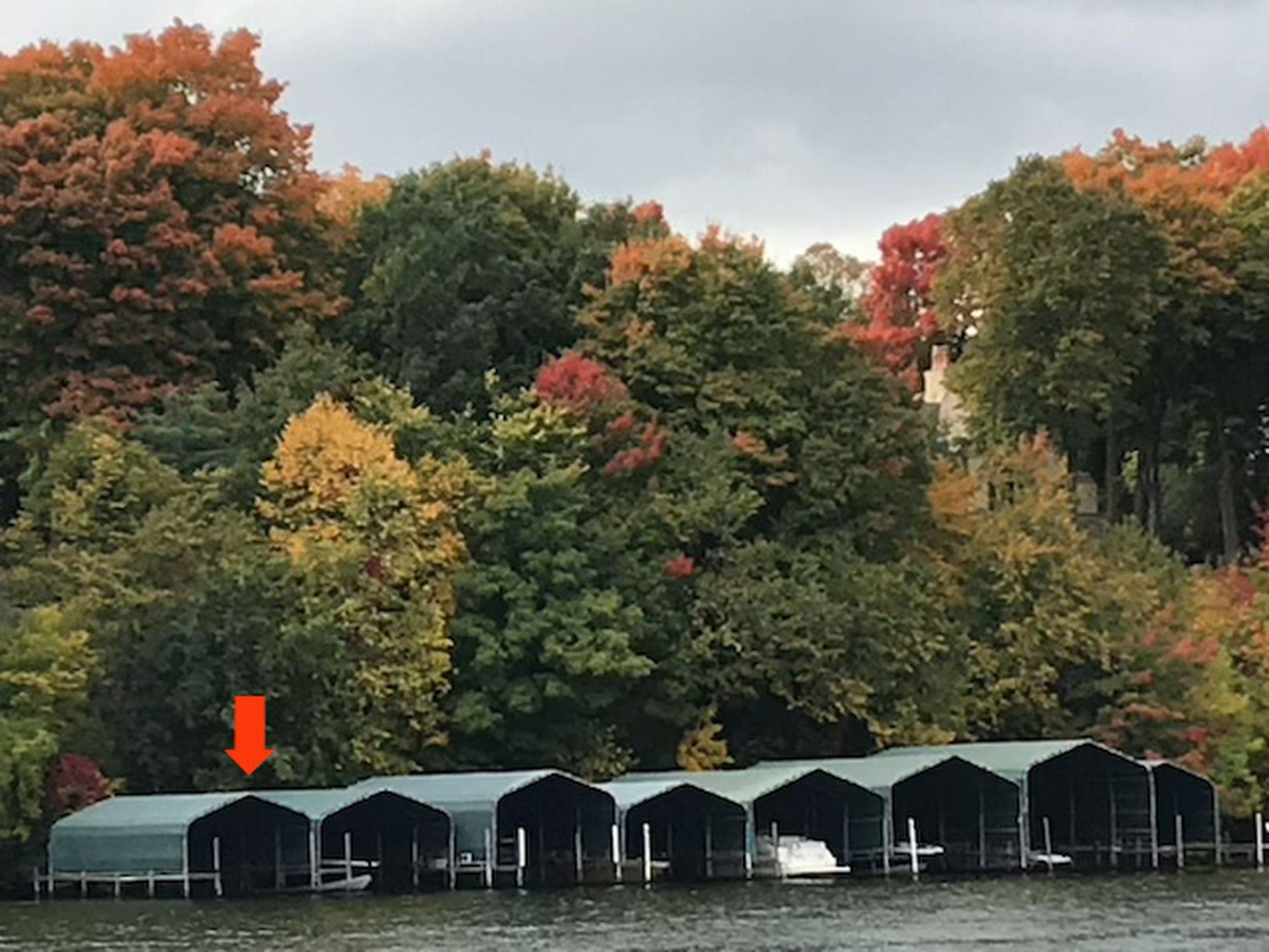 5995 Maple Forest