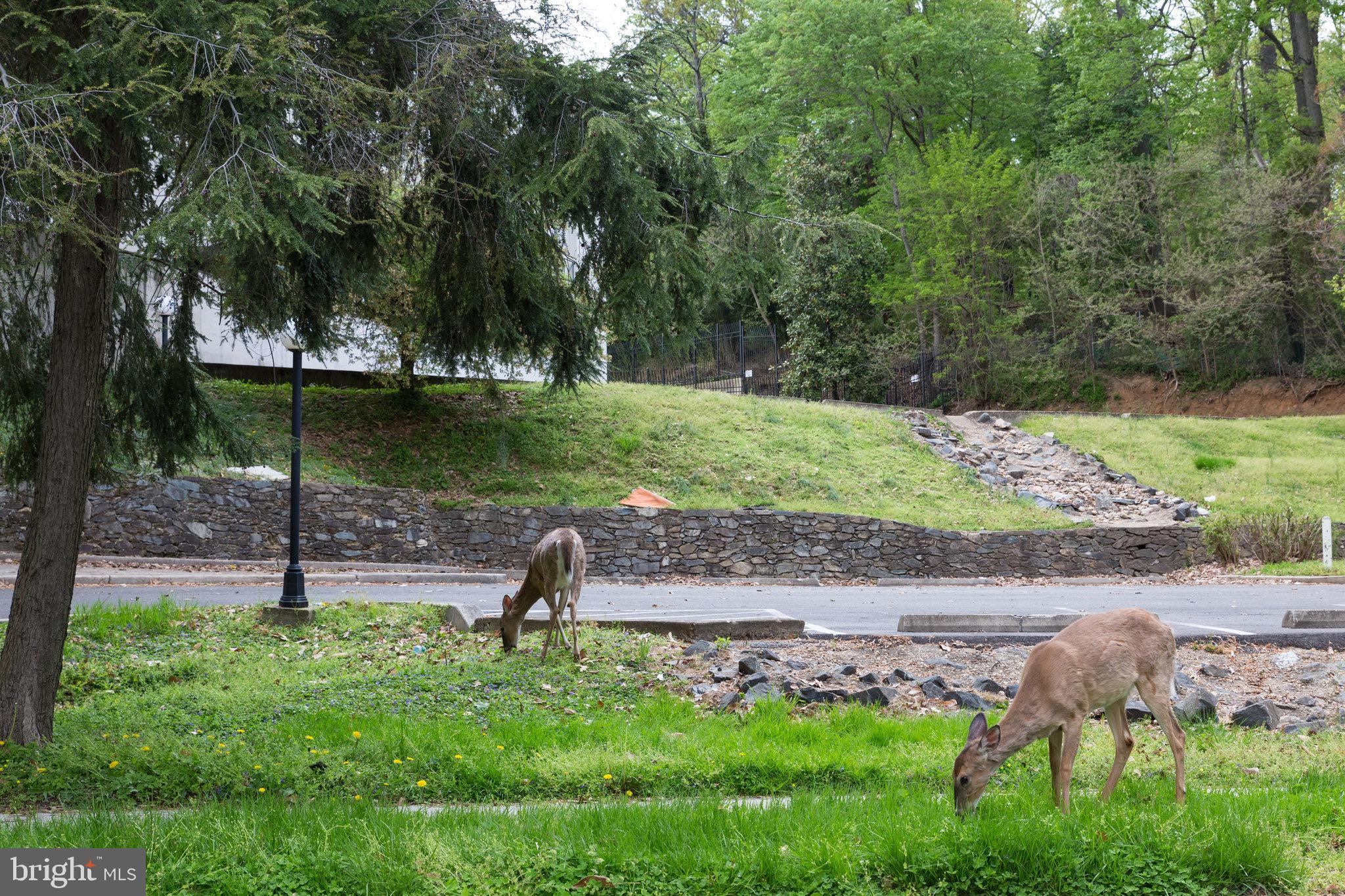 2755 Ordway St NW #201