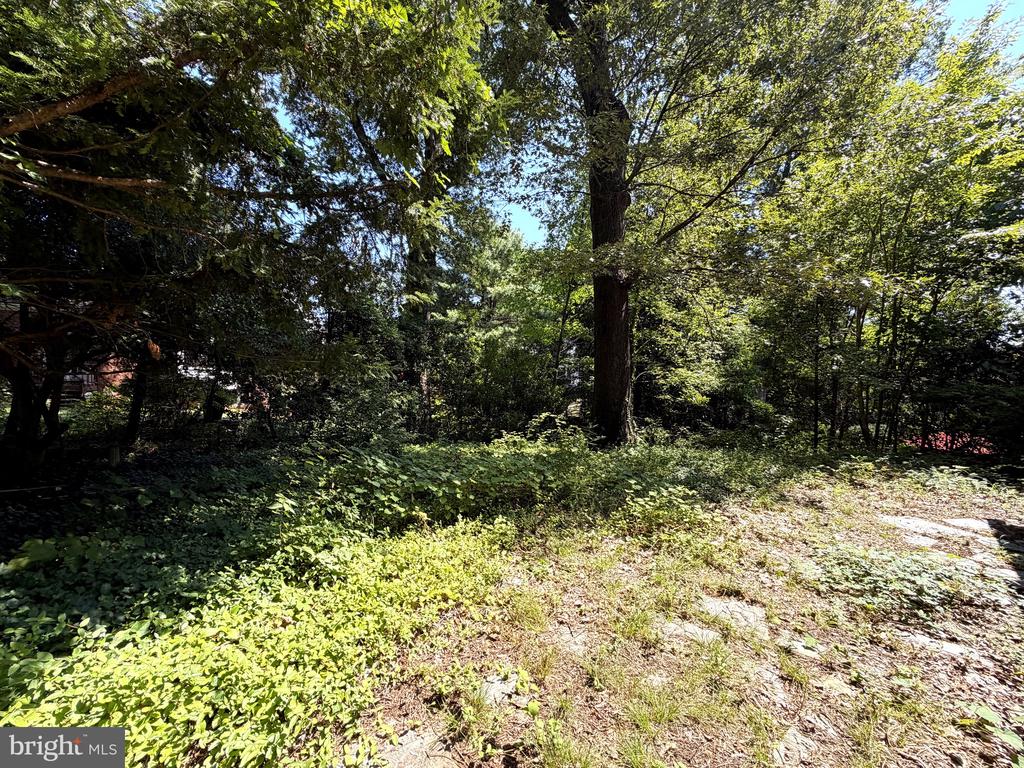 3123 MILITARY ROAD N