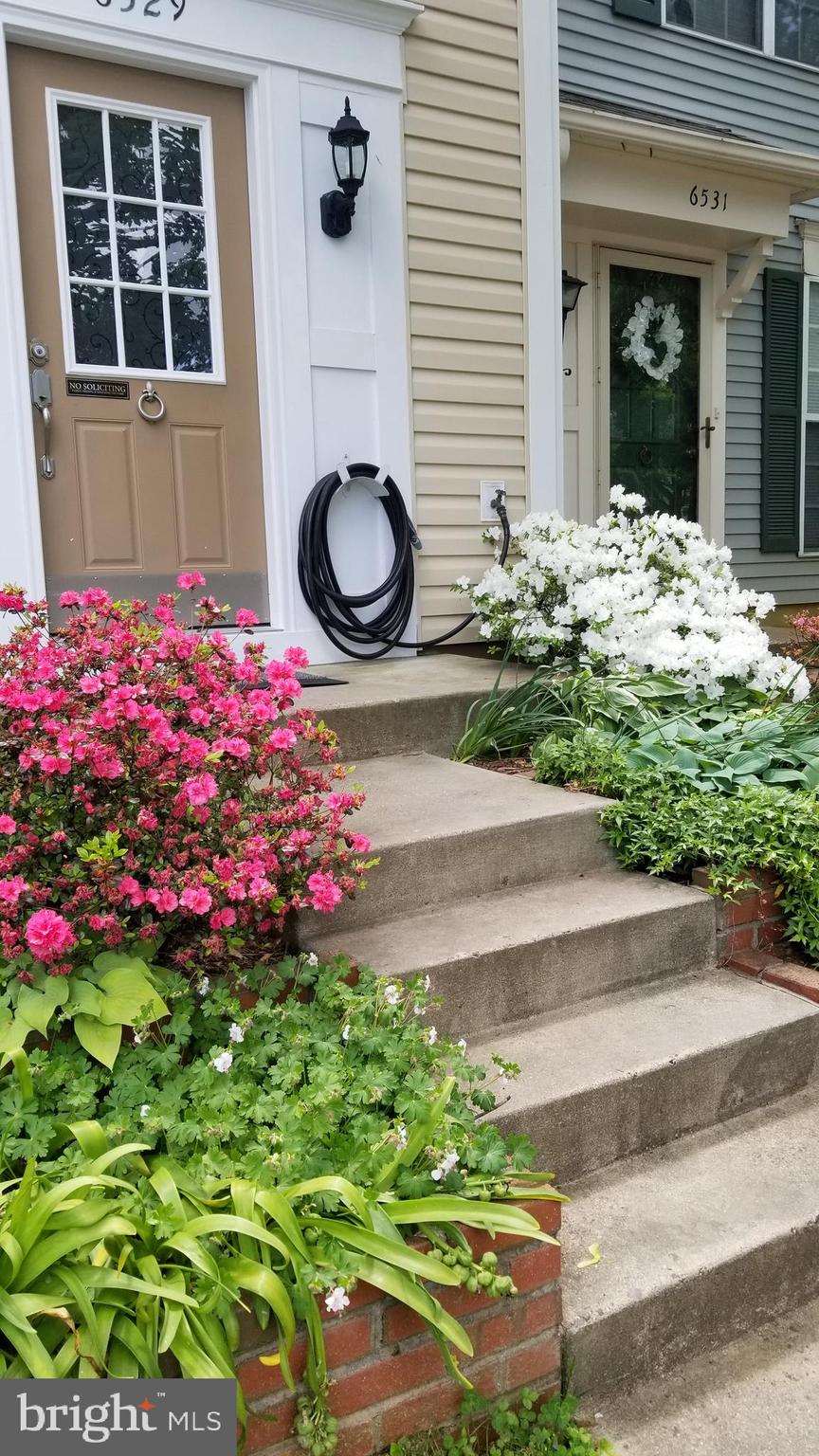 6529 OLD CARRIAGE LANE