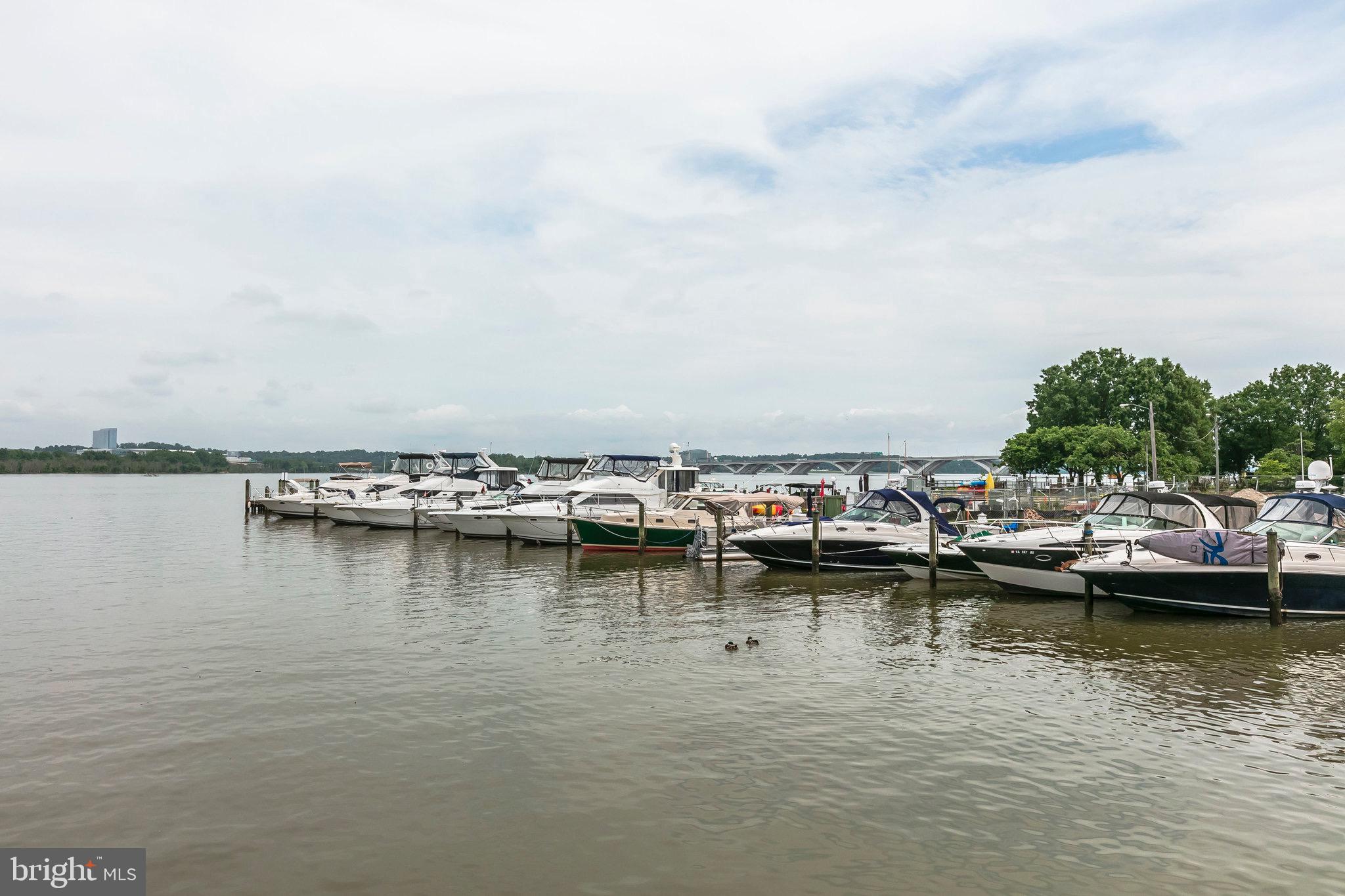 1501 Belle View BOULEVARD Unit: A1