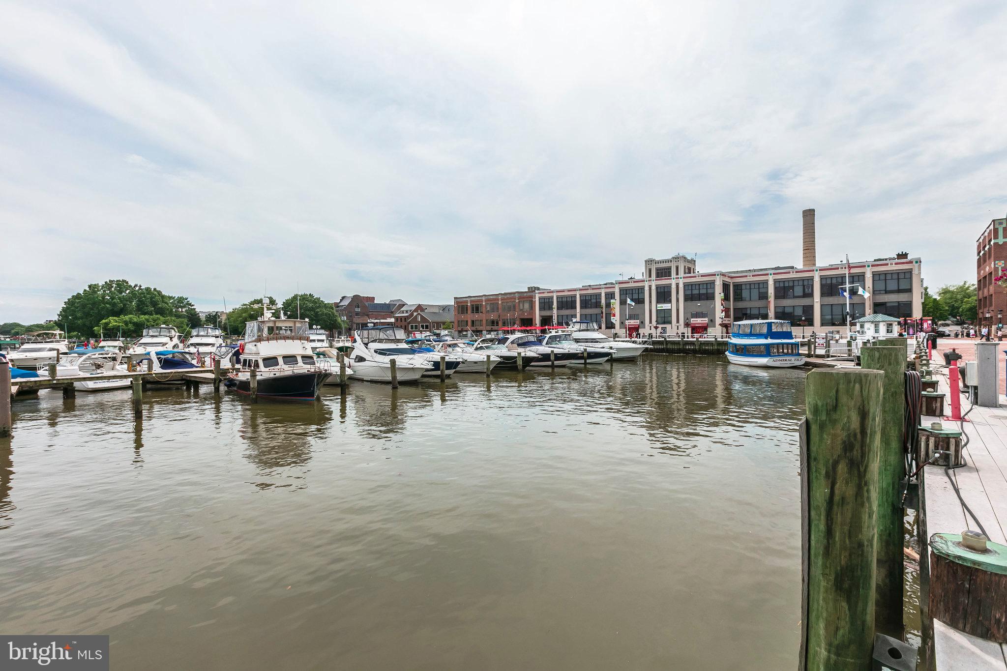 1501 Belle View BOULEVARD Unit: A1