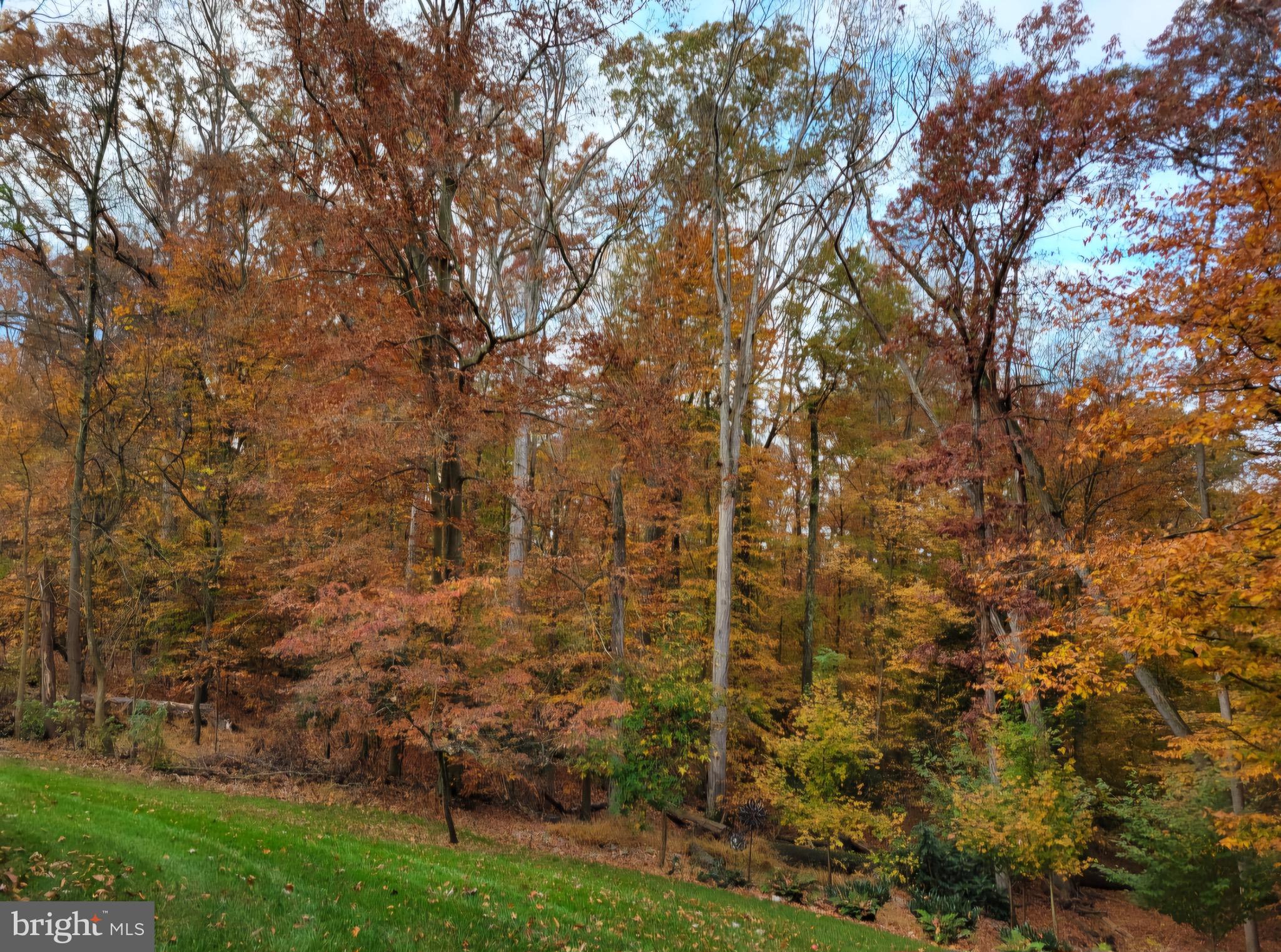 10242 van Thompson Rd