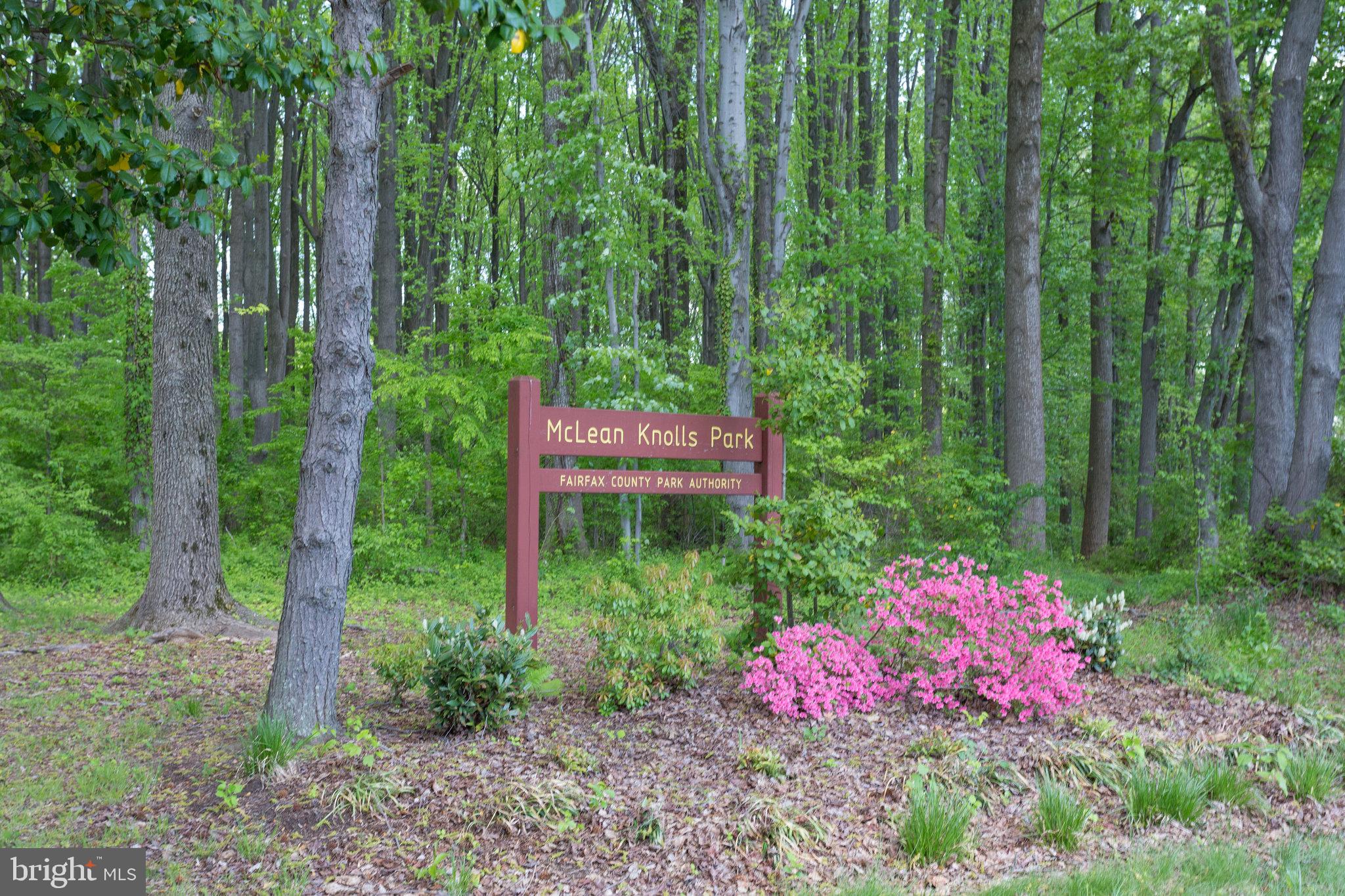 1204 Pine Hill Rd