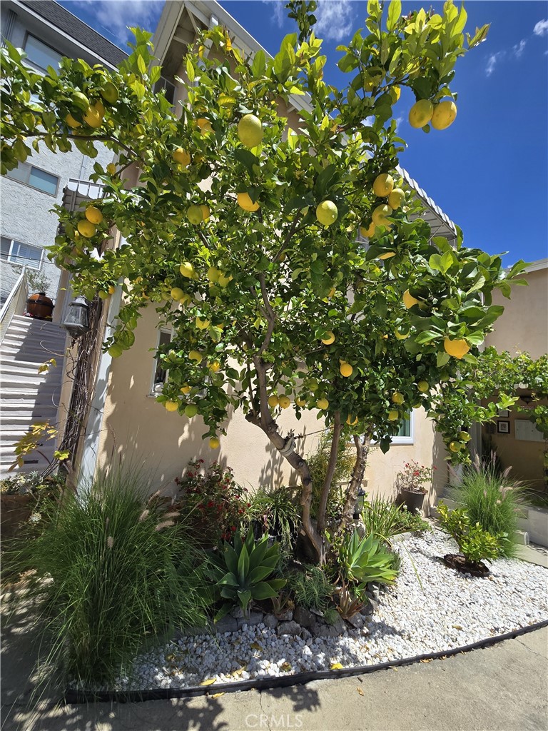 1129 N Clark