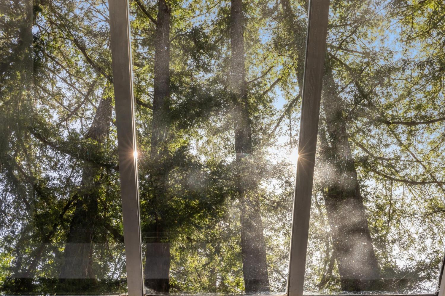 124 W Blithedale Ave