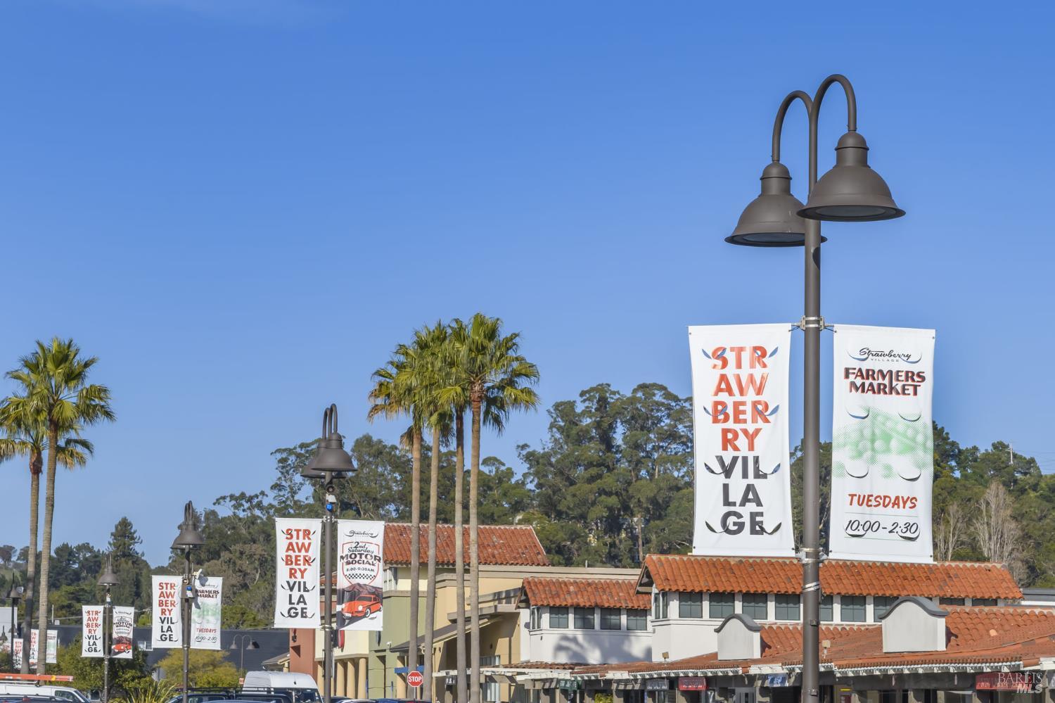 21 Eucalyptus Knoll Street