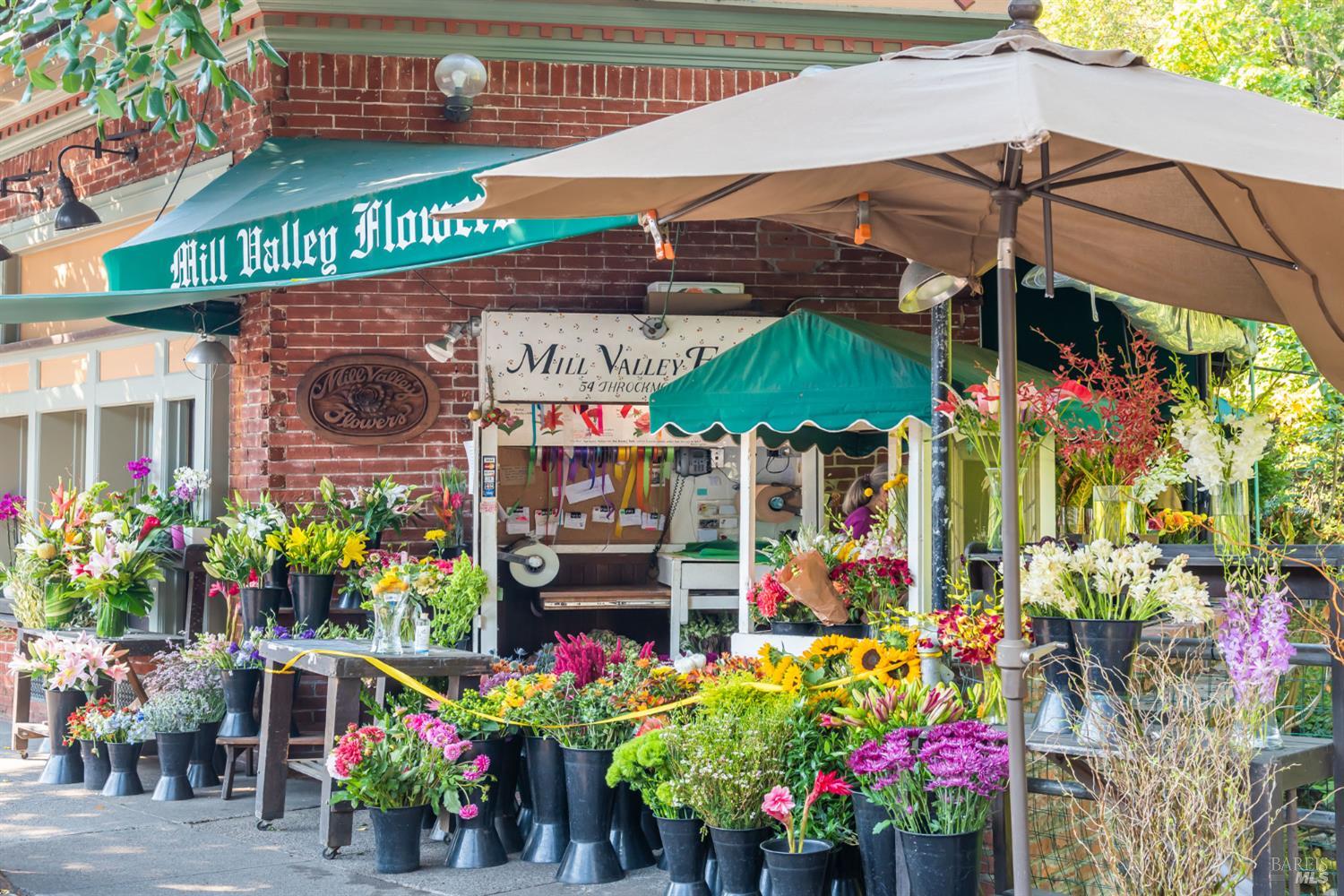 21 Eucalyptus Knoll Street