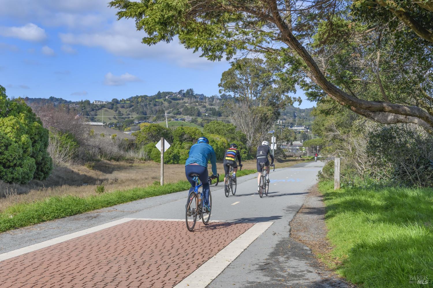 21 Eucalyptus Knoll Street